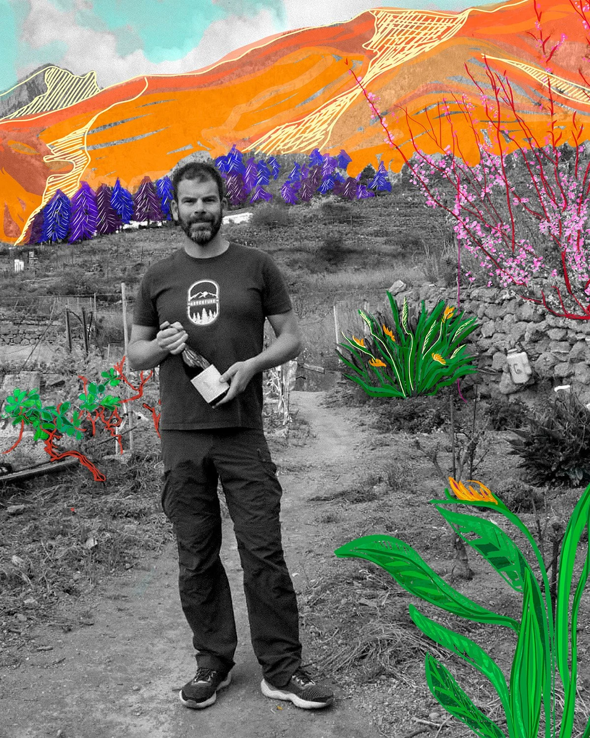 Fernando Mesa