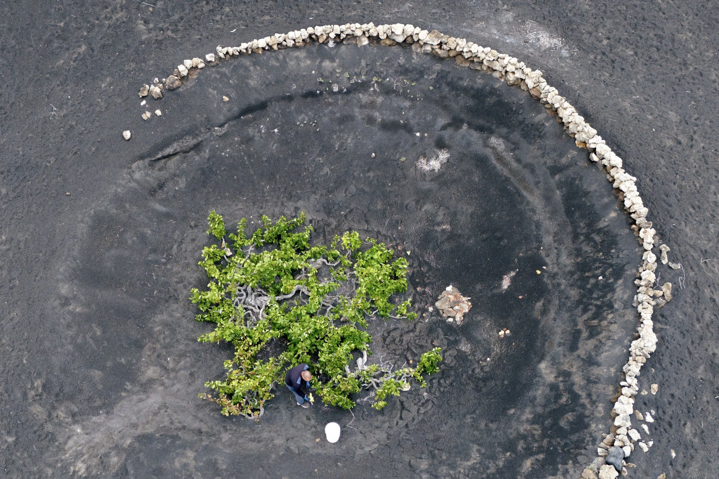 DJI_20240814080643_0036_D.JPG