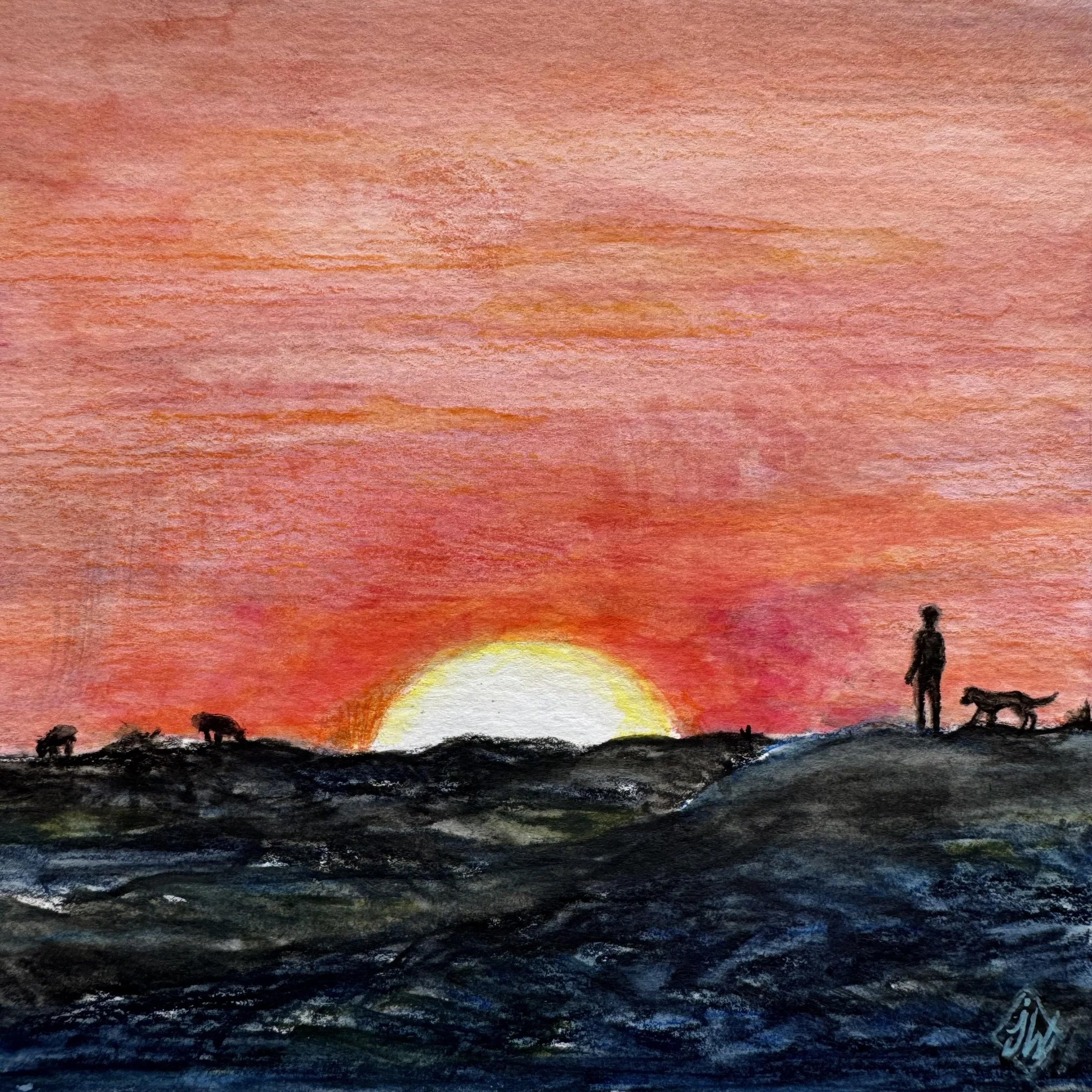 Watching The Sunset