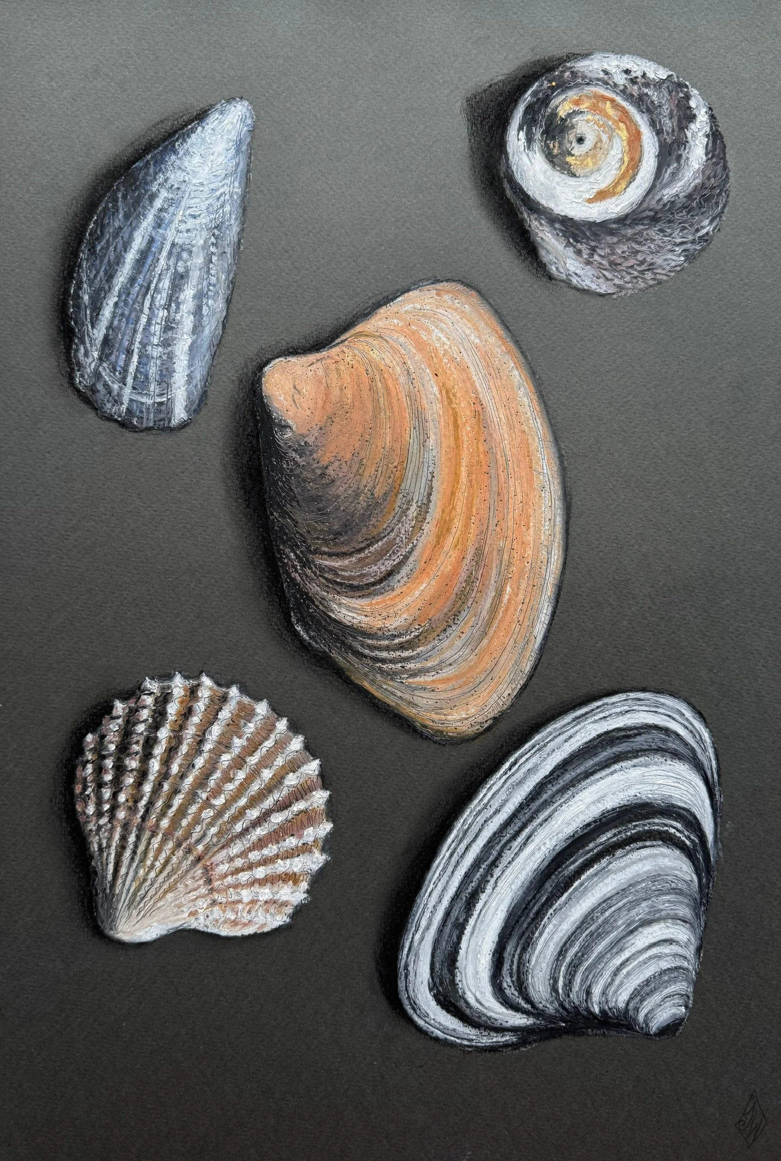 Five From The Shoreline