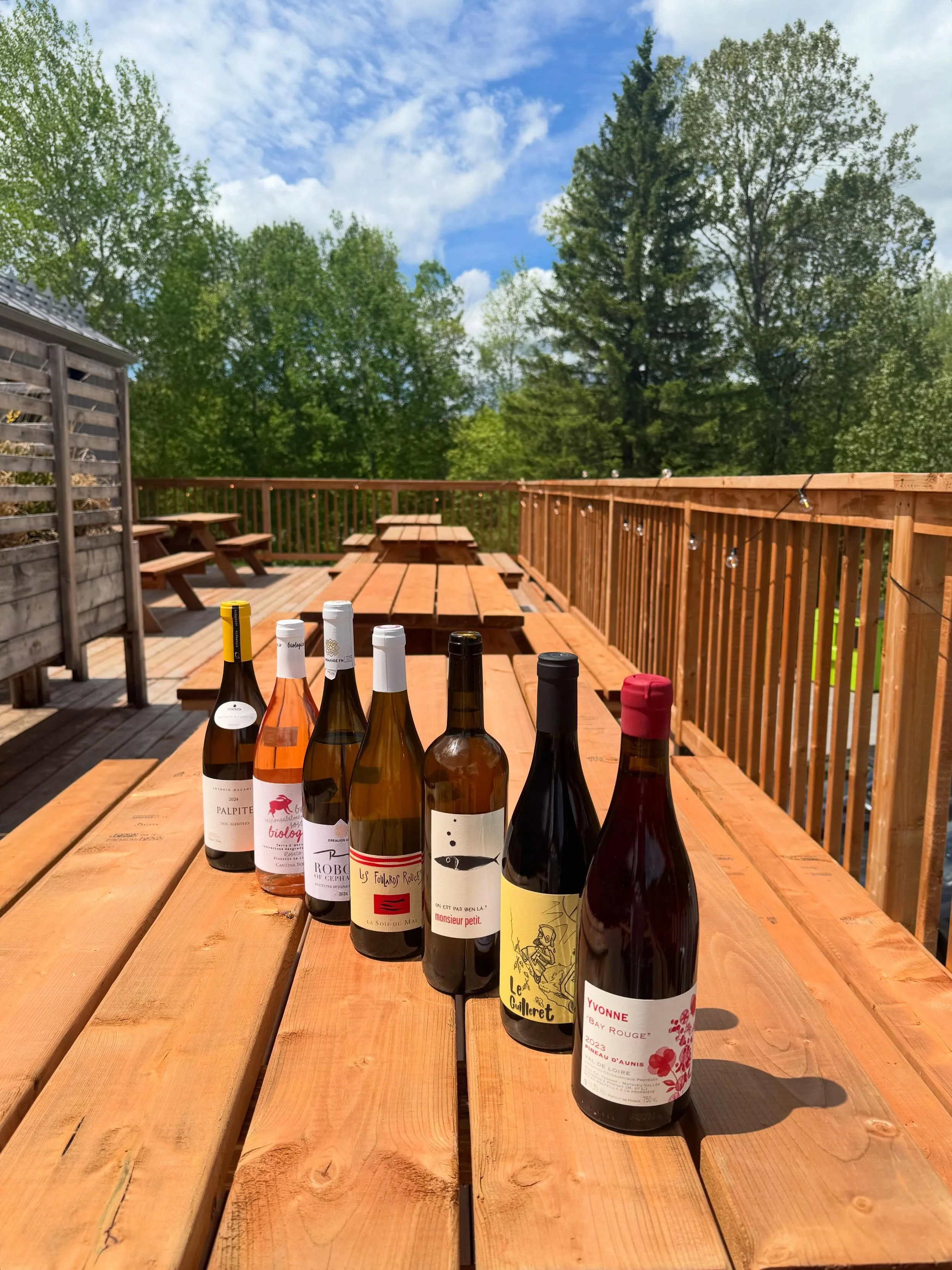 TERRASSE SEASON OU QUOI?! 🌞
matin midi soir 
la terrasse au 2e est ouverte 7 jours sur 7
les vins sont au froid, les kegs sont pleins pis le back bar est bien garni. 
venez-vous en la gang! ✨