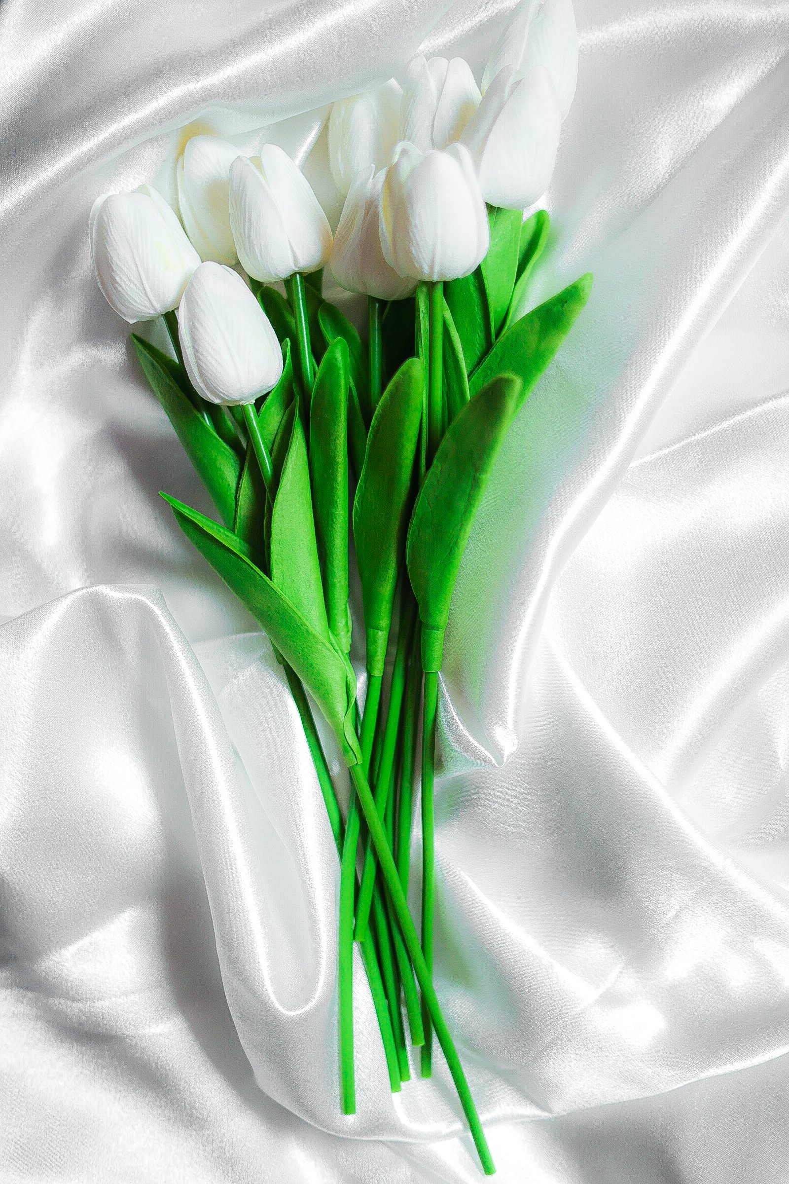 6Z4A0181.jpg