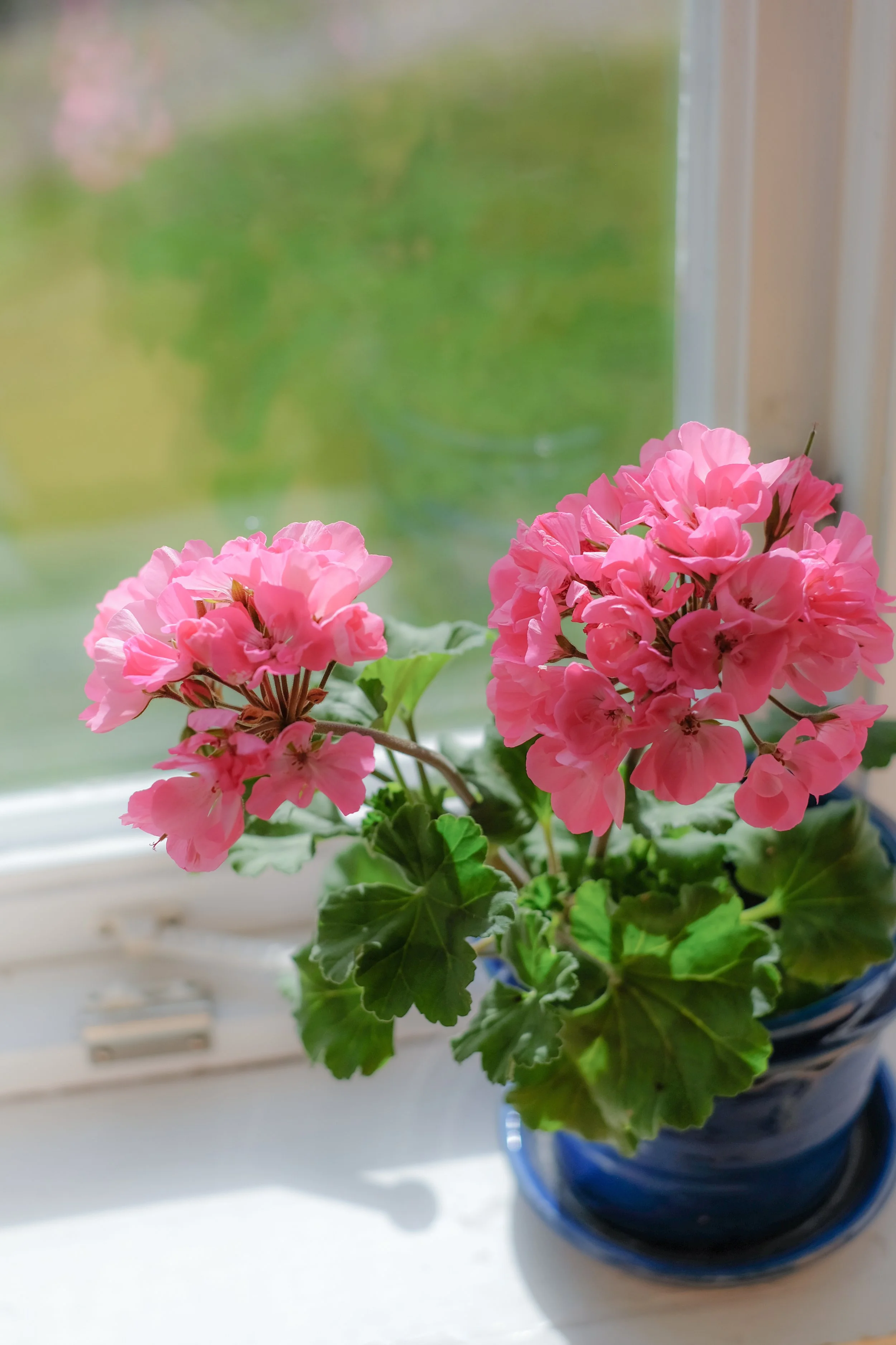 DSCF6666.jpg