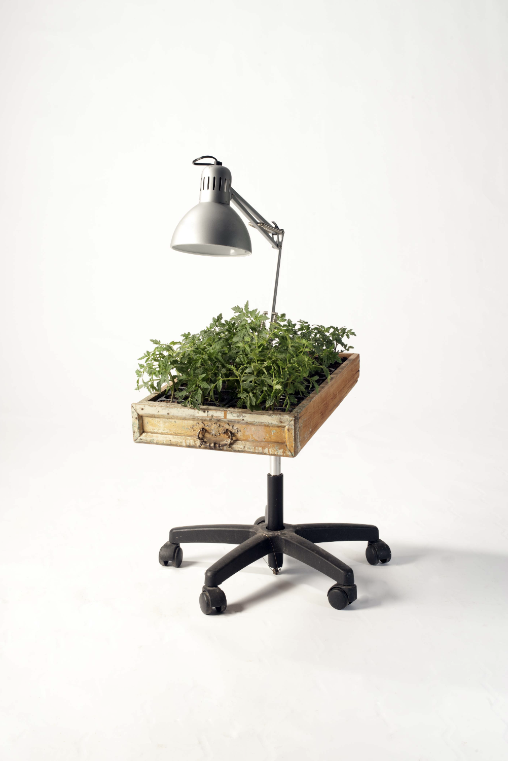 Screenshot 2024-06-16 alle 18.35.36.png