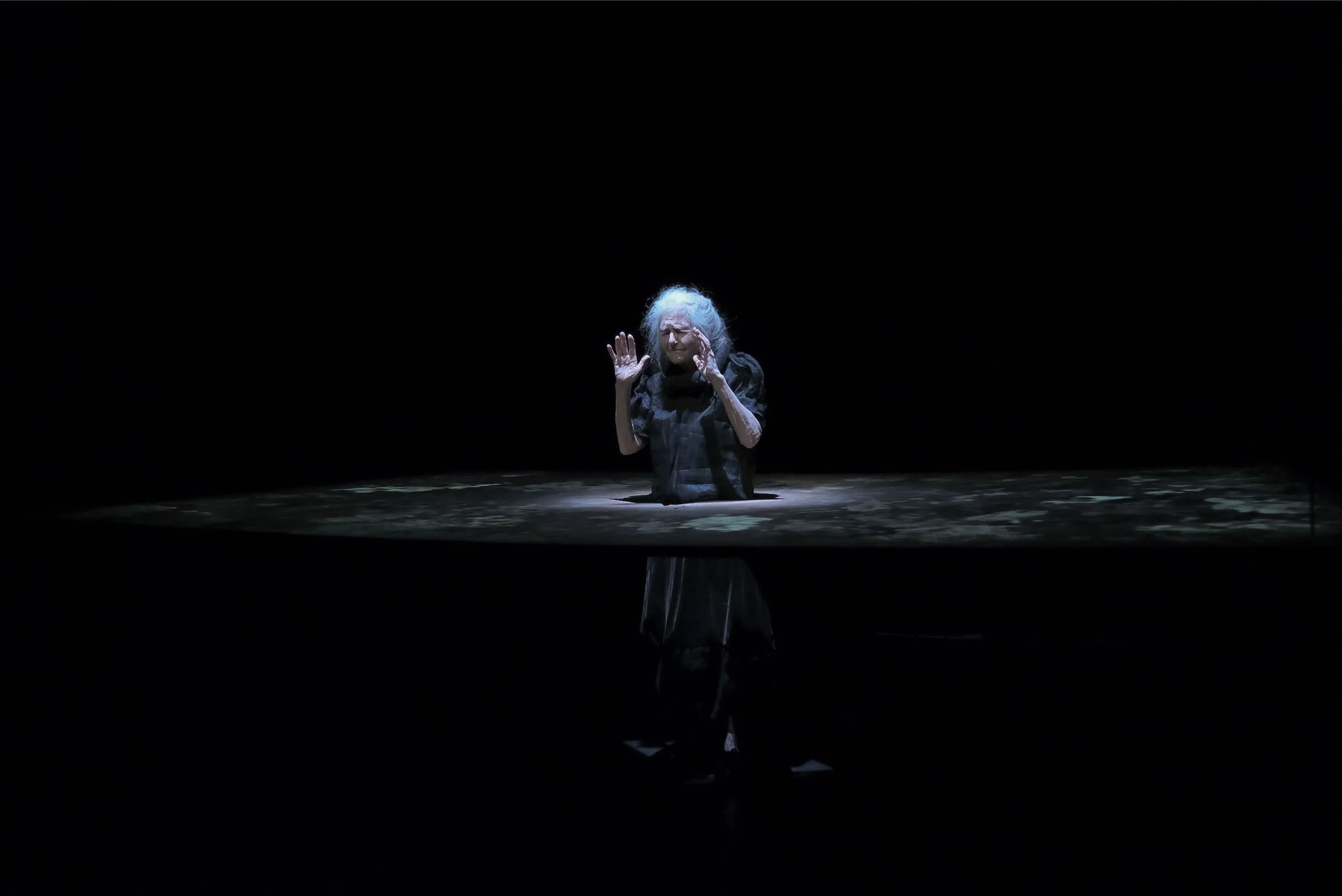 Planting an Apple Tree _lowres-042.jpg