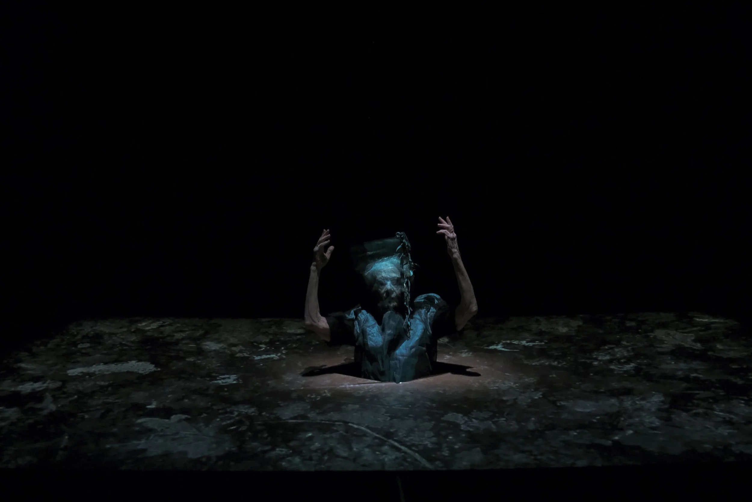 Planting an Apple Tree _lowres-140.jpg