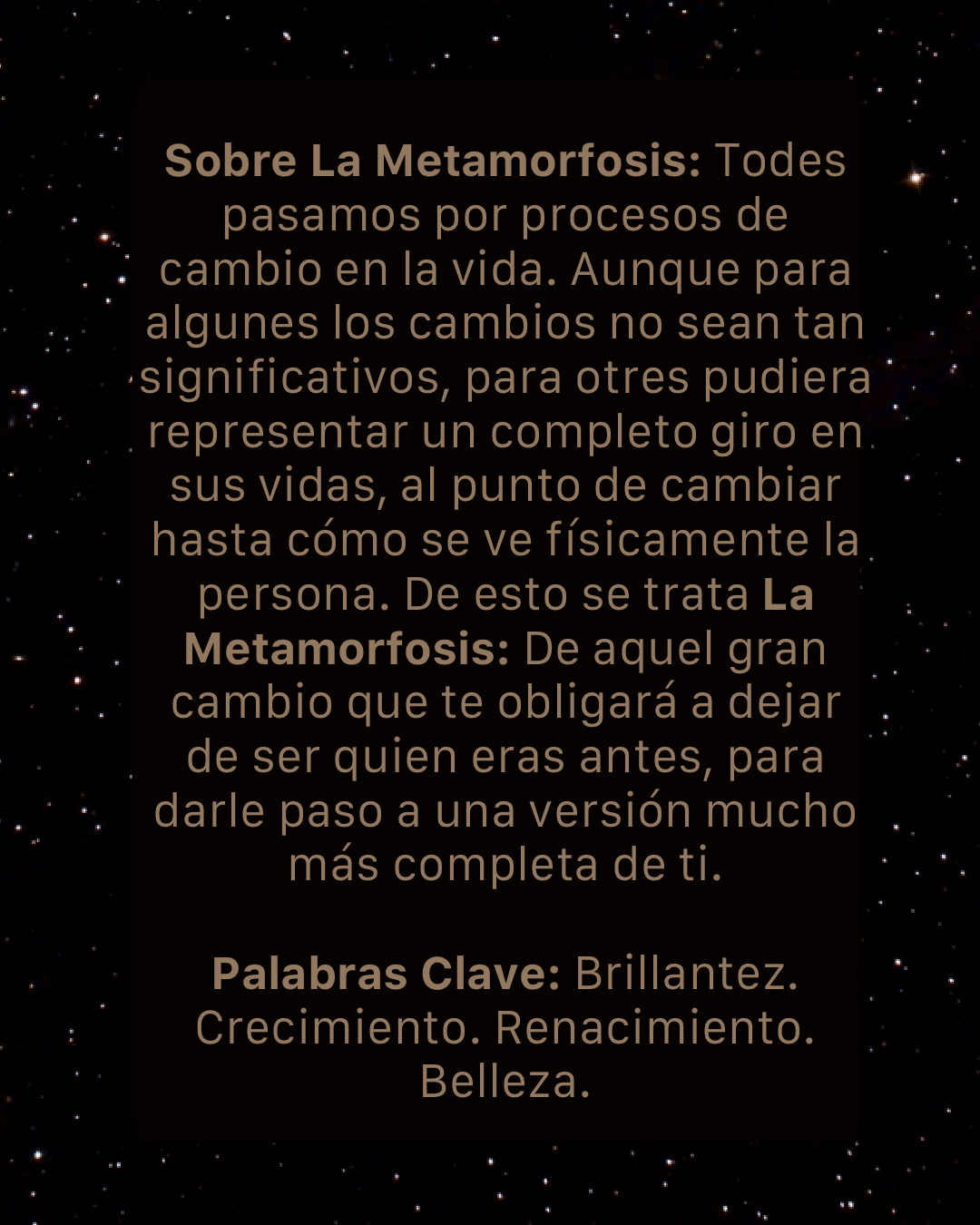 Descripción Ubi 1_3.png