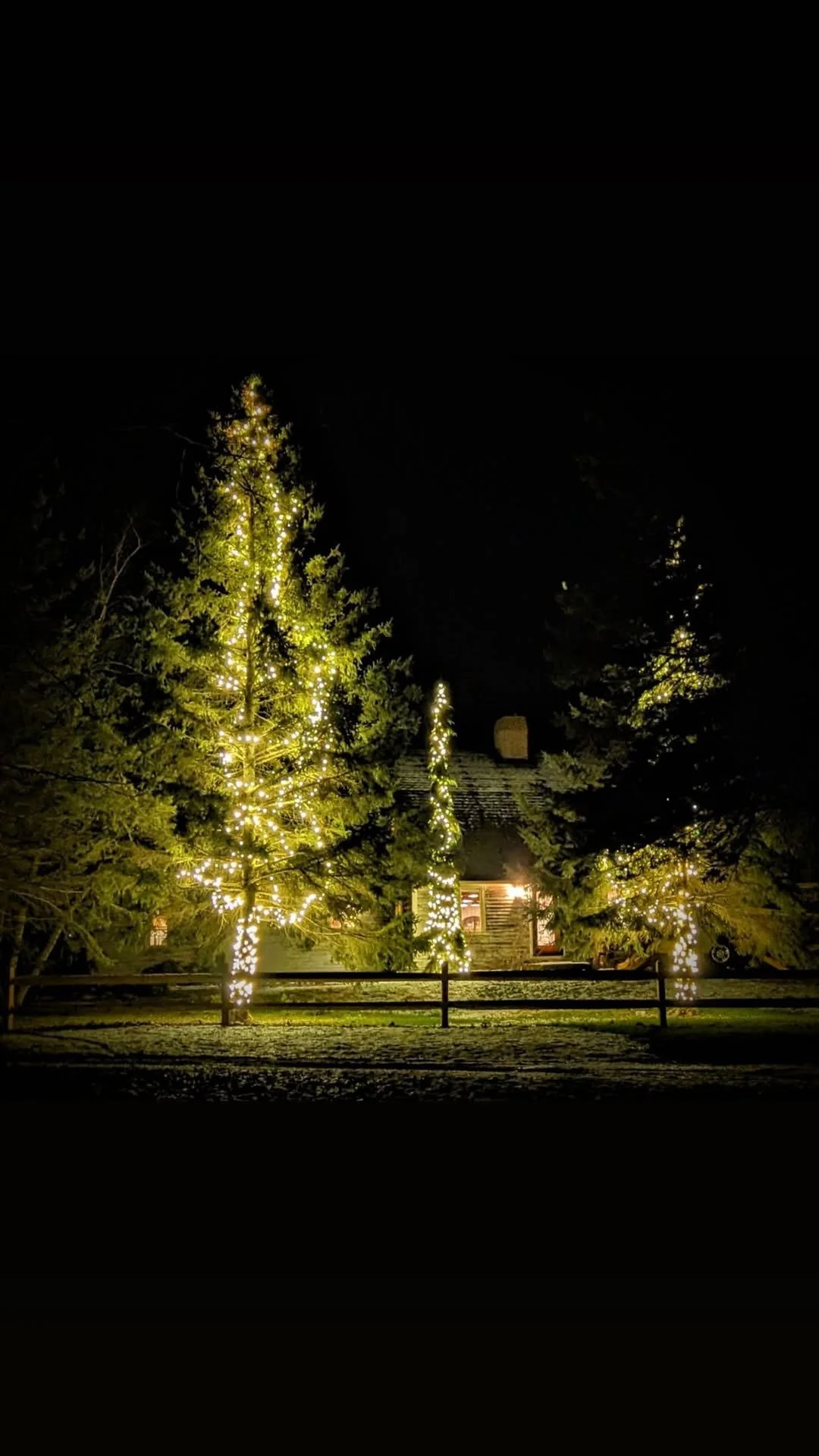 Hoffman Landscaping_Holiday Prep 4.jpg