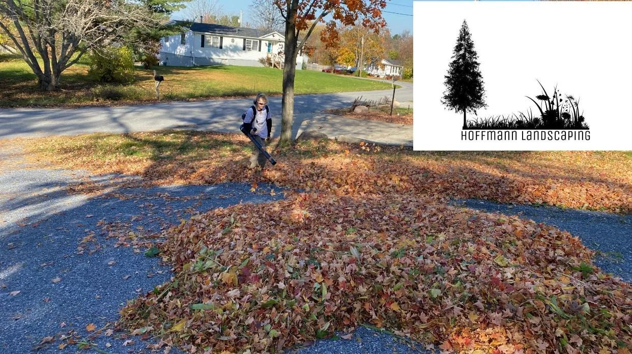 Hoffman Landscaping_Seasonal Prep (Fall) 4.jpg