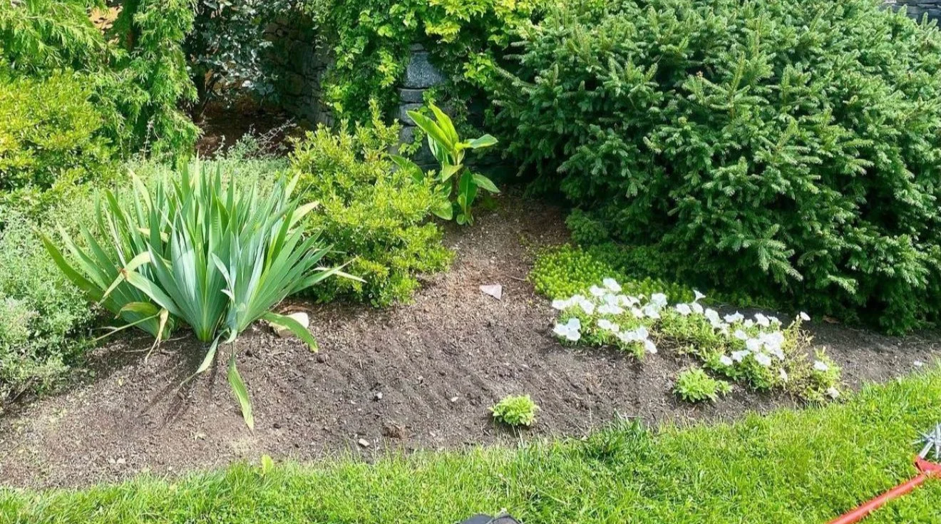 Hoffmann Landscaping_Hoffman Landscaping_Lawn & Garden Care 8.jpg