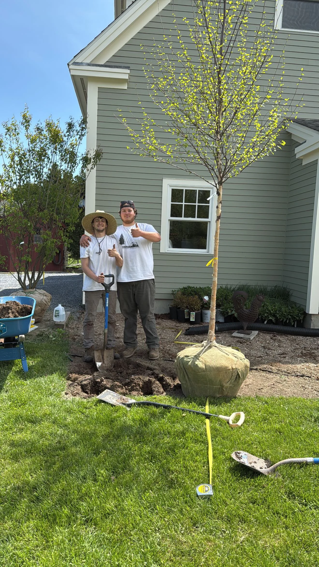 Hoffmann Landscaping_Hoffman Landscaping_Lawn & Garden Care 19.JPG