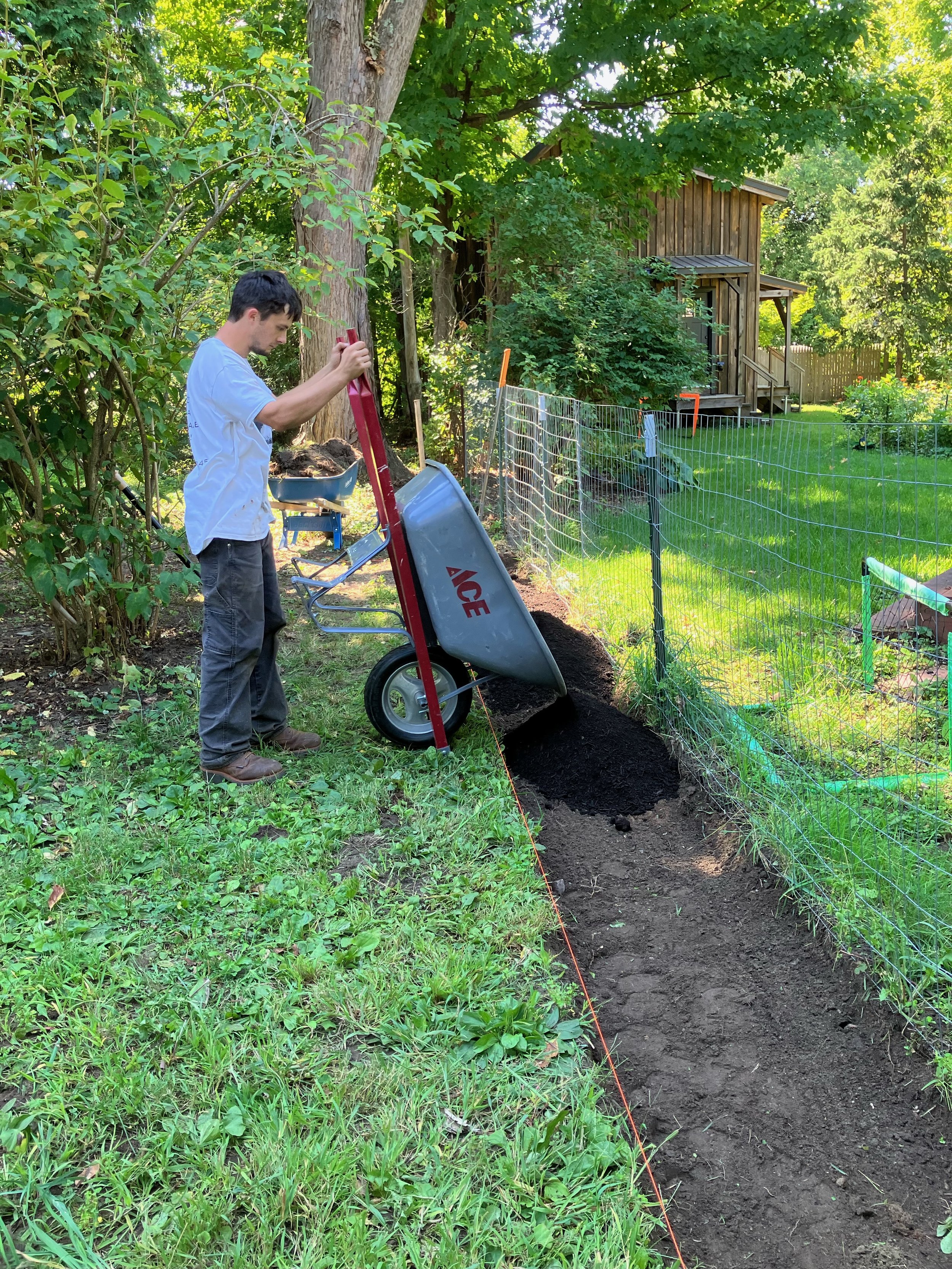 Hoffmann Landscaping_Hoffman Landscaping_Lawn & Garden Care 13.jpeg