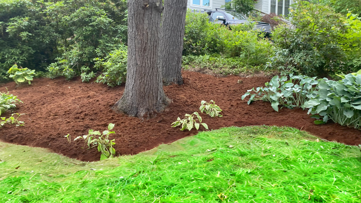 Hoffman Landscaping_Website Header Options.png