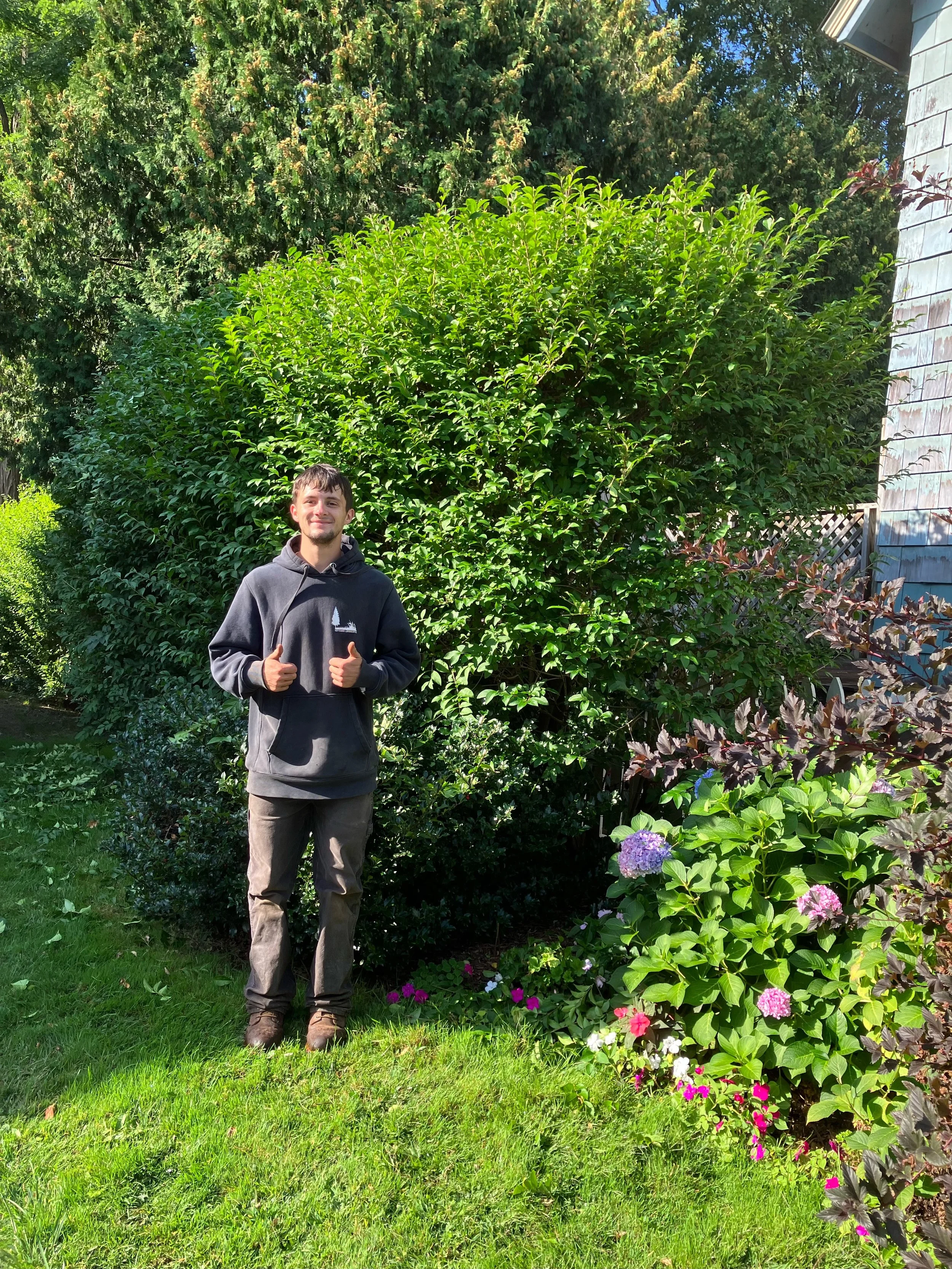 Hoffmann Landscaping_Hoffman Landscaping_Lawn & Garden Care 9.jpeg