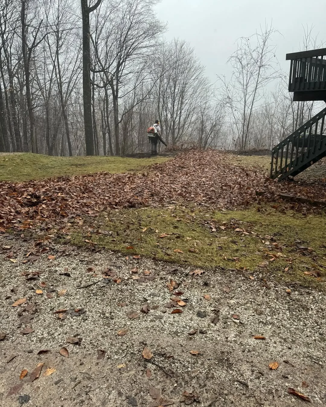 Hoffmann Landscaping_Hoffman Landscaping_Seasonal Prep (Fall) 2.jpg