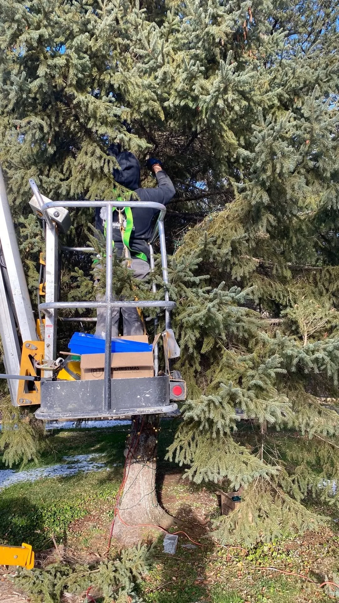 Hoffman Landscaping_Holiday Prep 1.jpg