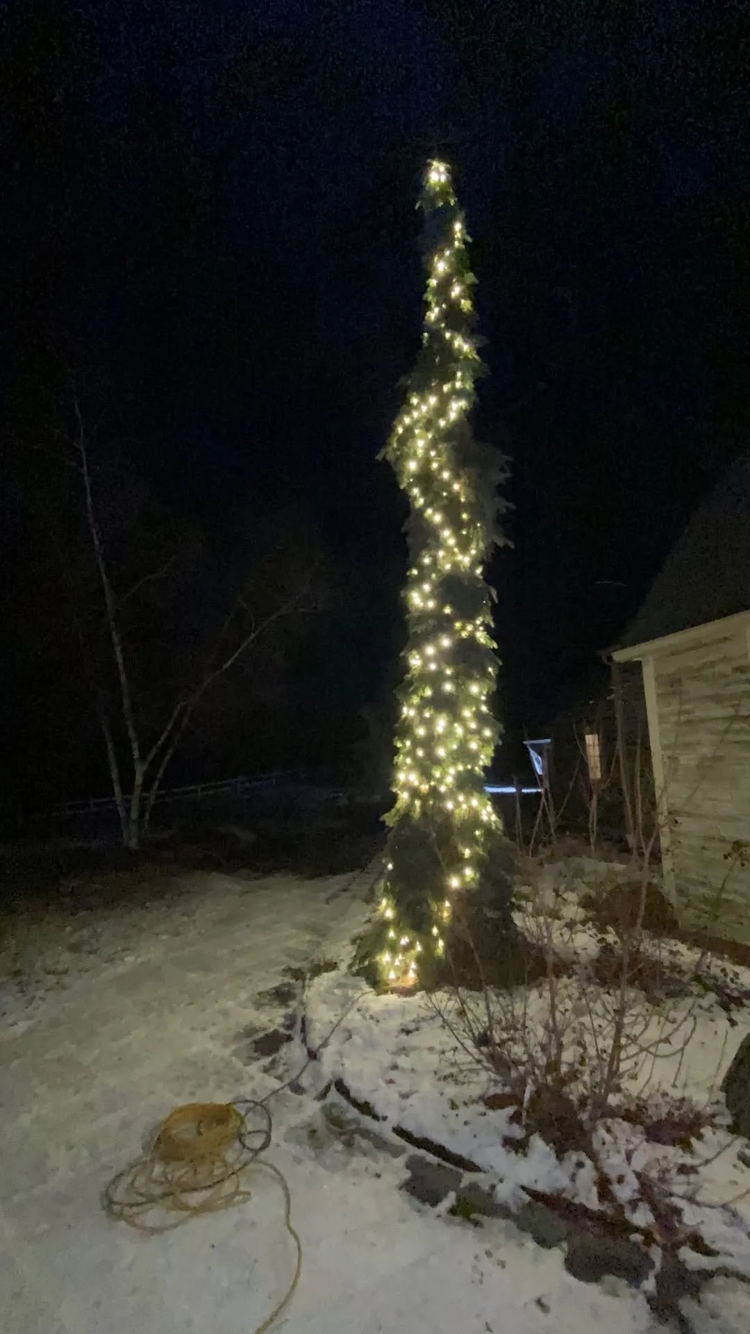 Hoffman Landscaping_Holiday Prep 2.jpg