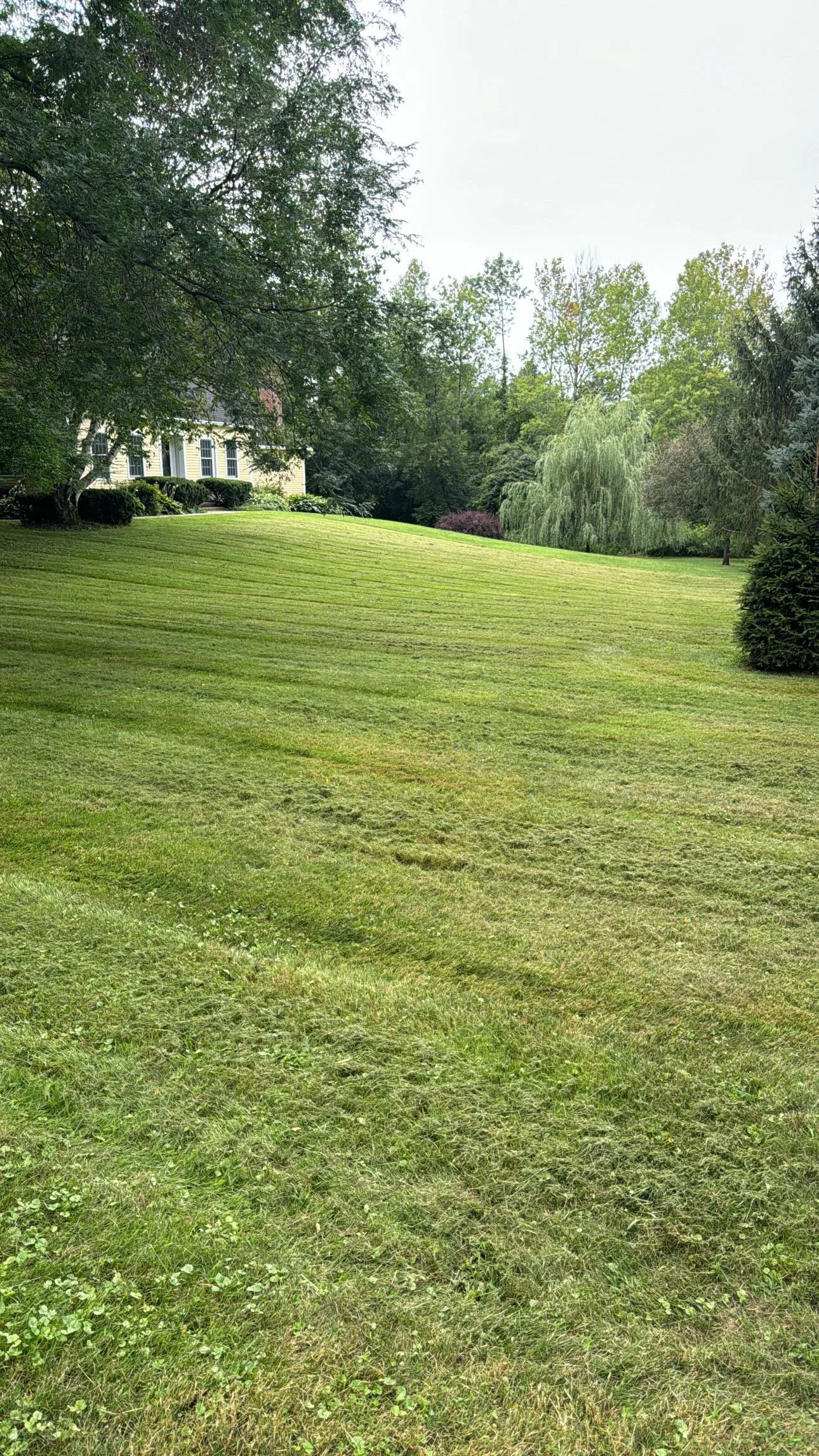 Hoffmann Landscaping_Hoffman Landscaping_Lawncare (Placeholder).jpg