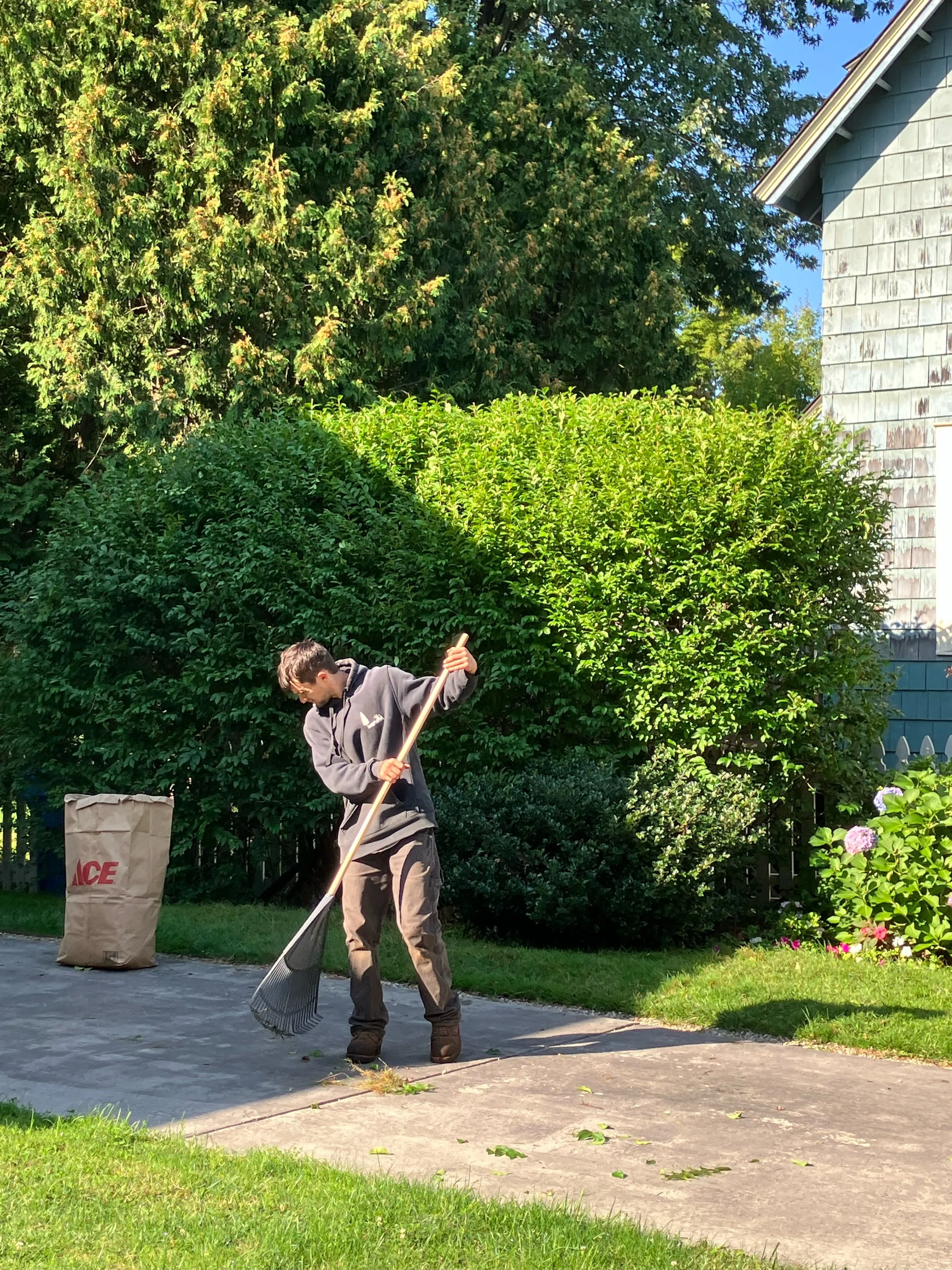 Hoffmann Landscaping_Hoffman Landscaping_Lawn & Garden Care 10.jpeg