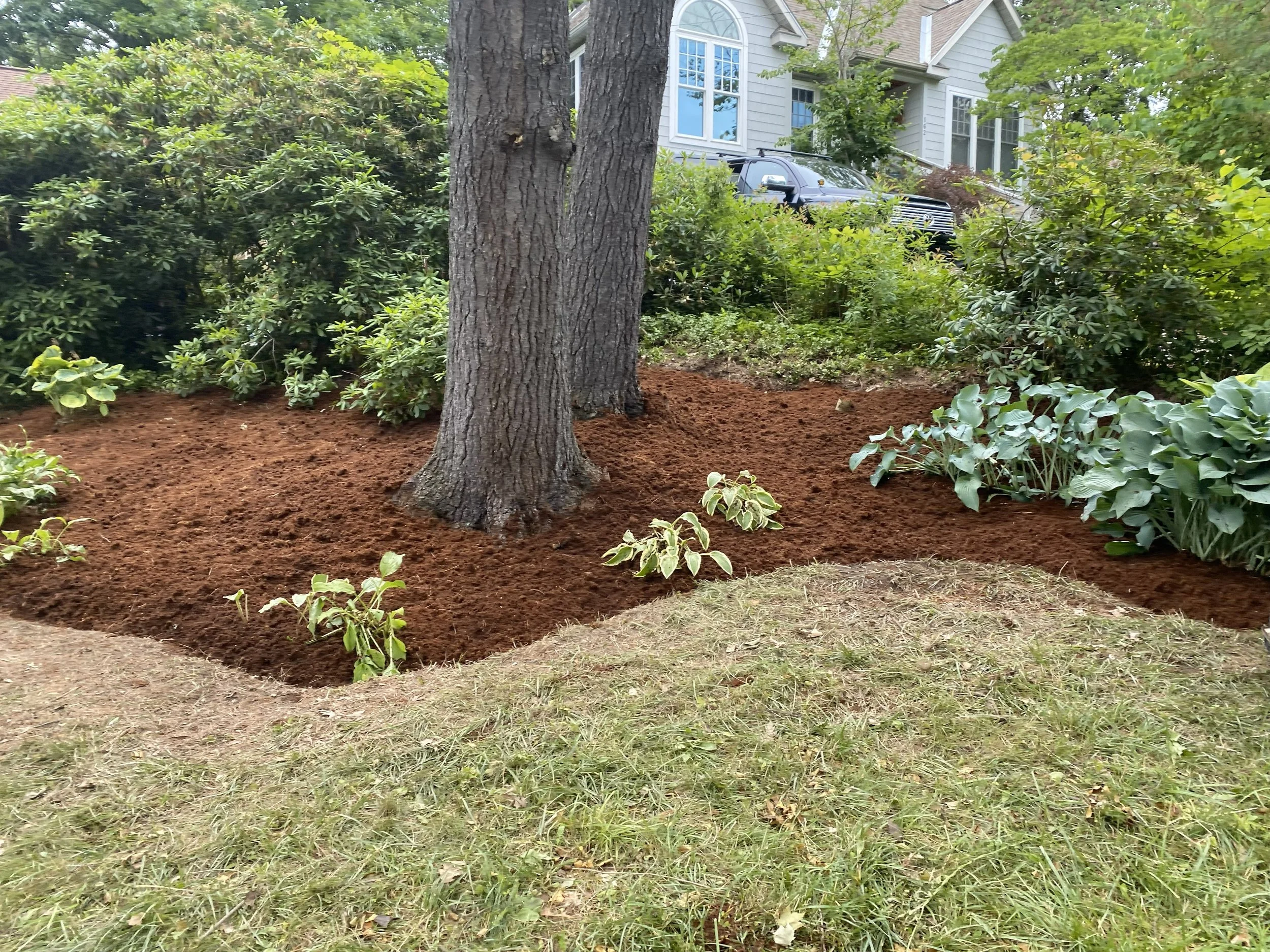 Hoffmann Landscaping_Hoffman Landscaping_Lawn & Garden Care 12.jpg