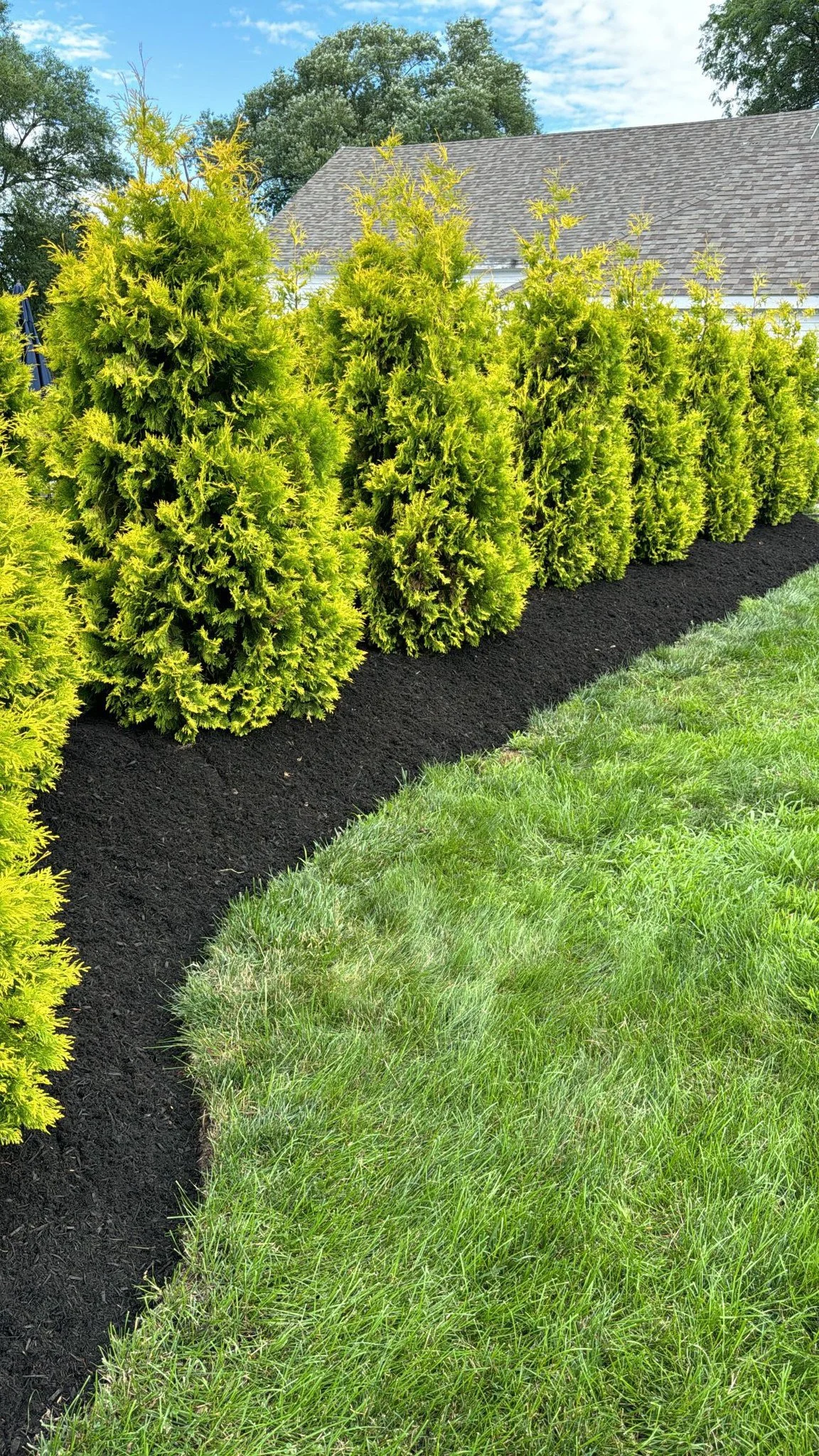 Hoffmann Landscaping_Hoffman Landscaping_Lawn & Garden Care 1.jpg