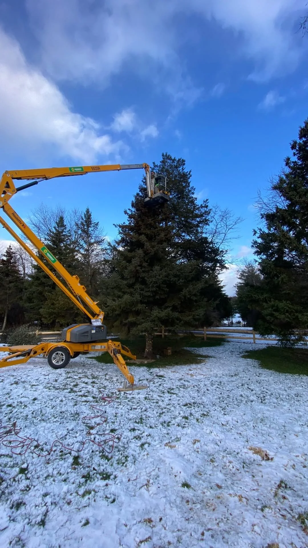 Hoffman Landscaping_Holiday Prep 3.jpg