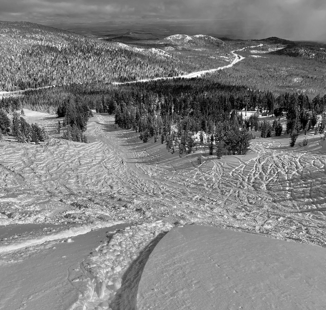 Seeing Takes Place in the Brain