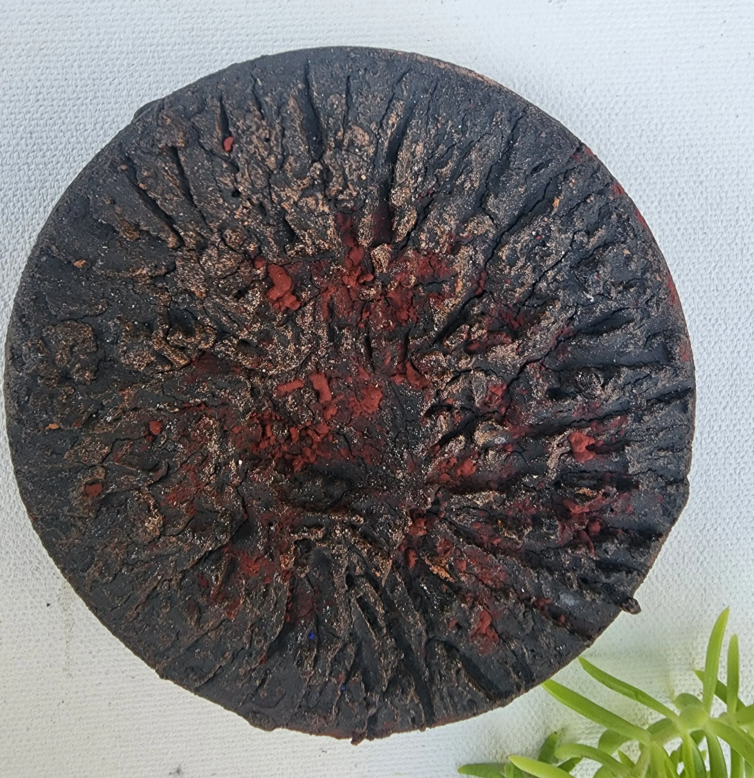 FROM THE ASHES