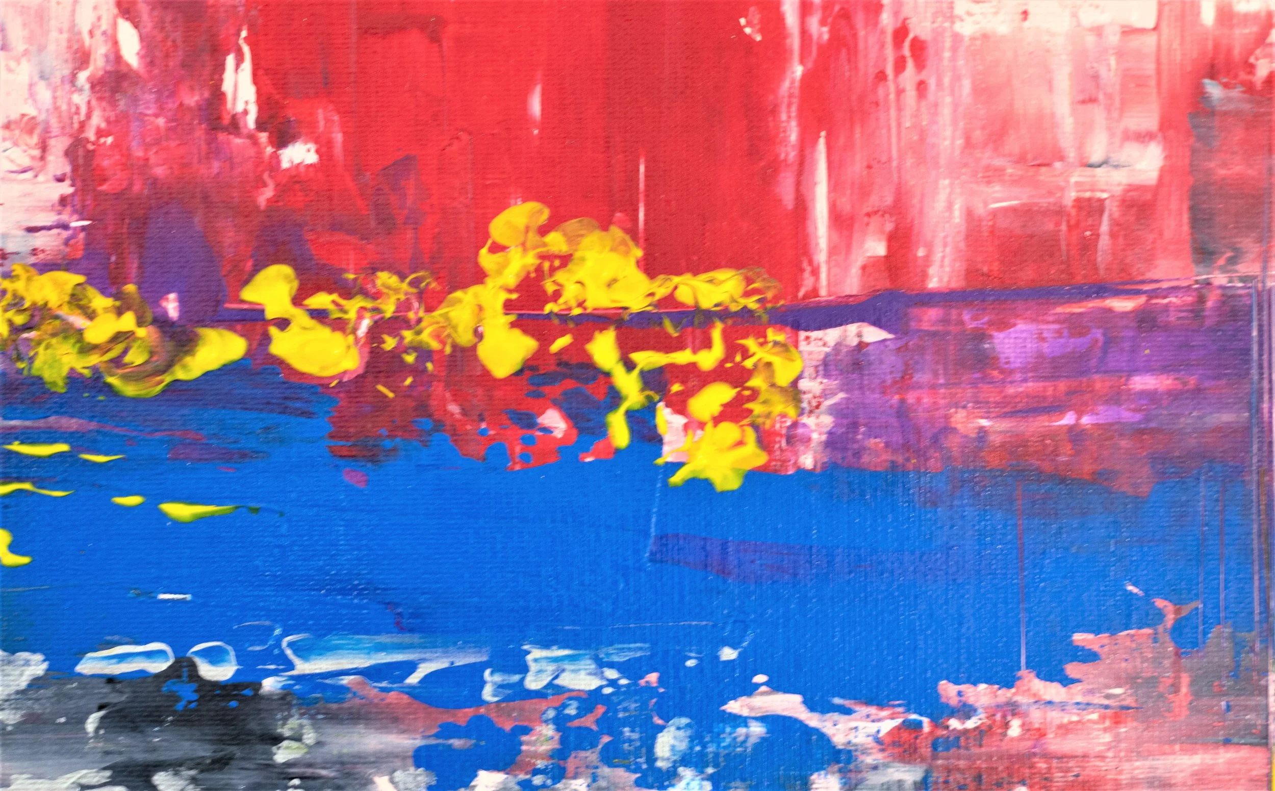 MERAKI - closeup.jpg