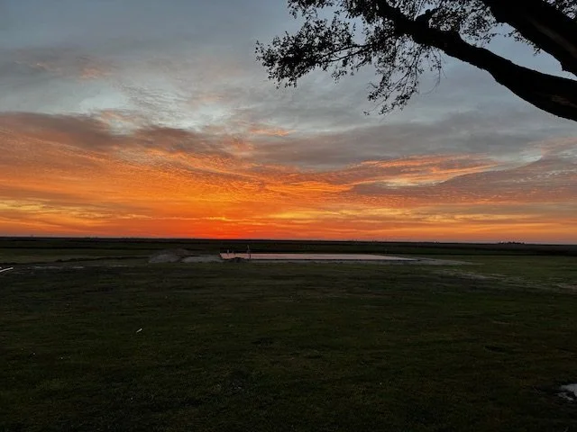                 The Art of Slowing Down