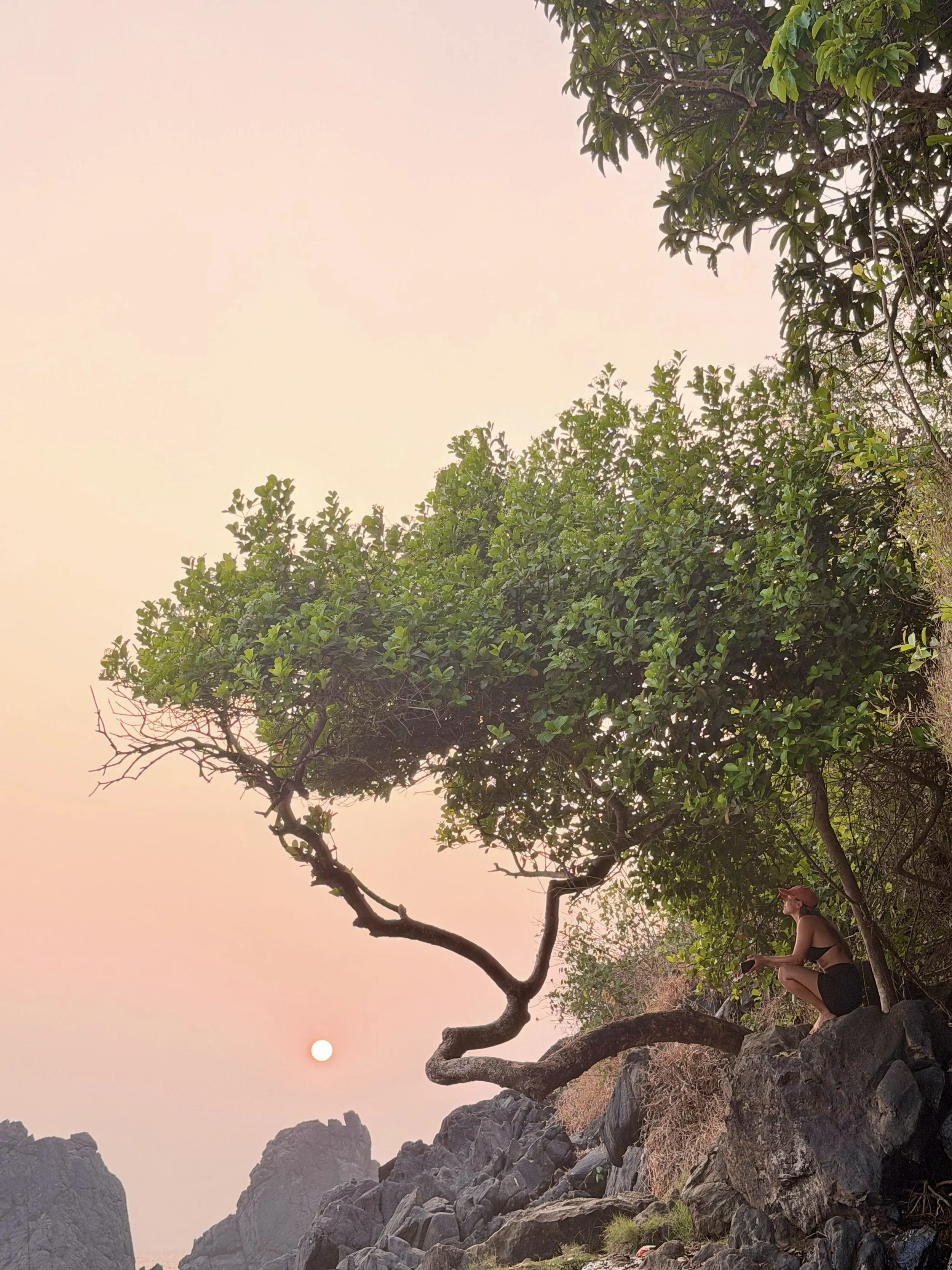 Dream’s Dissolution