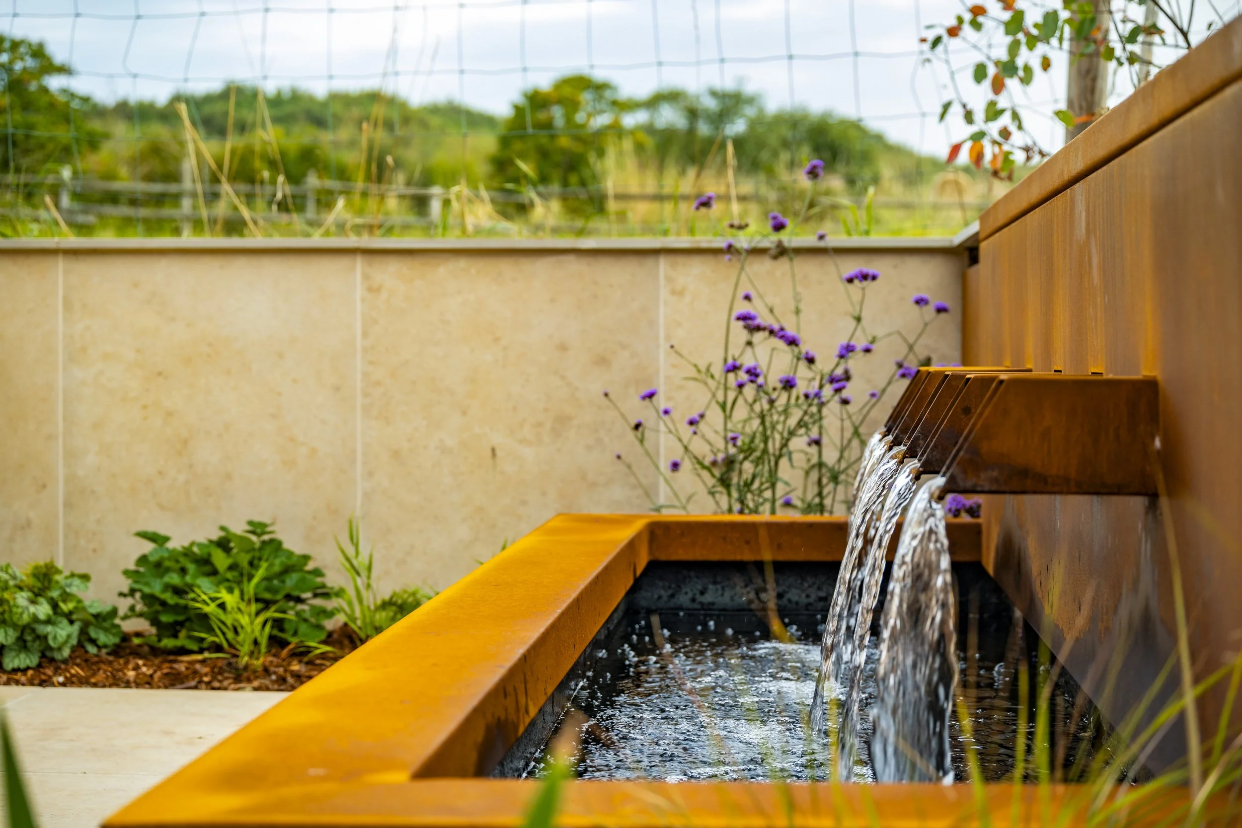 BELTON LANDSCAPES (14 of 90).jpg