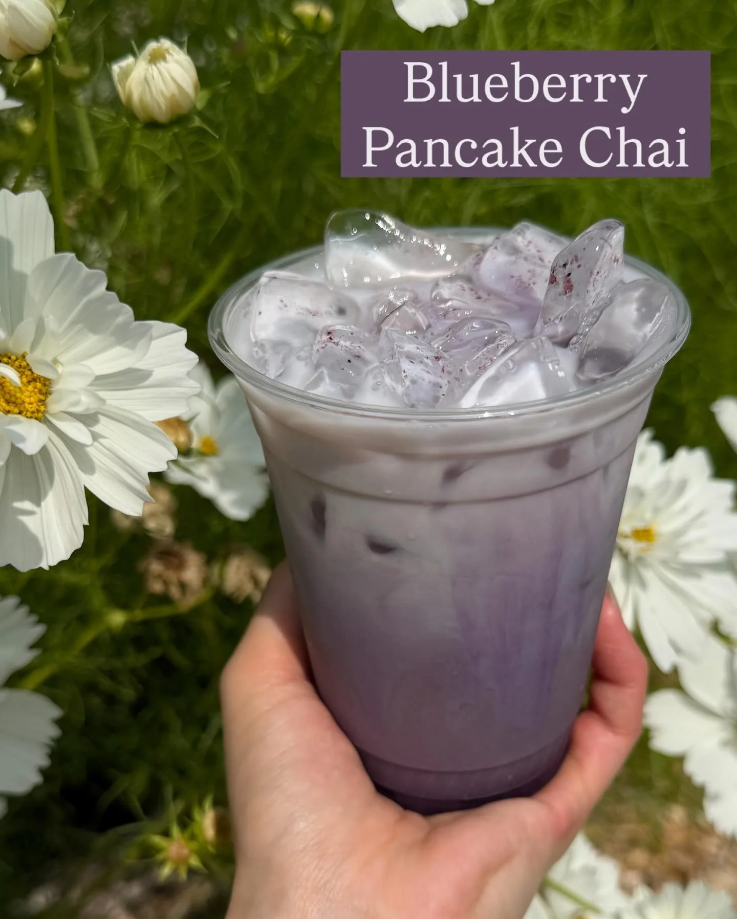 Good morning ☀️ Meet us at the Haverhill Farmers market today 9 am-1 pm and grab something sweet or savory or both! Blueberry pancake is coming back and is especially good as an iced chai 🫐