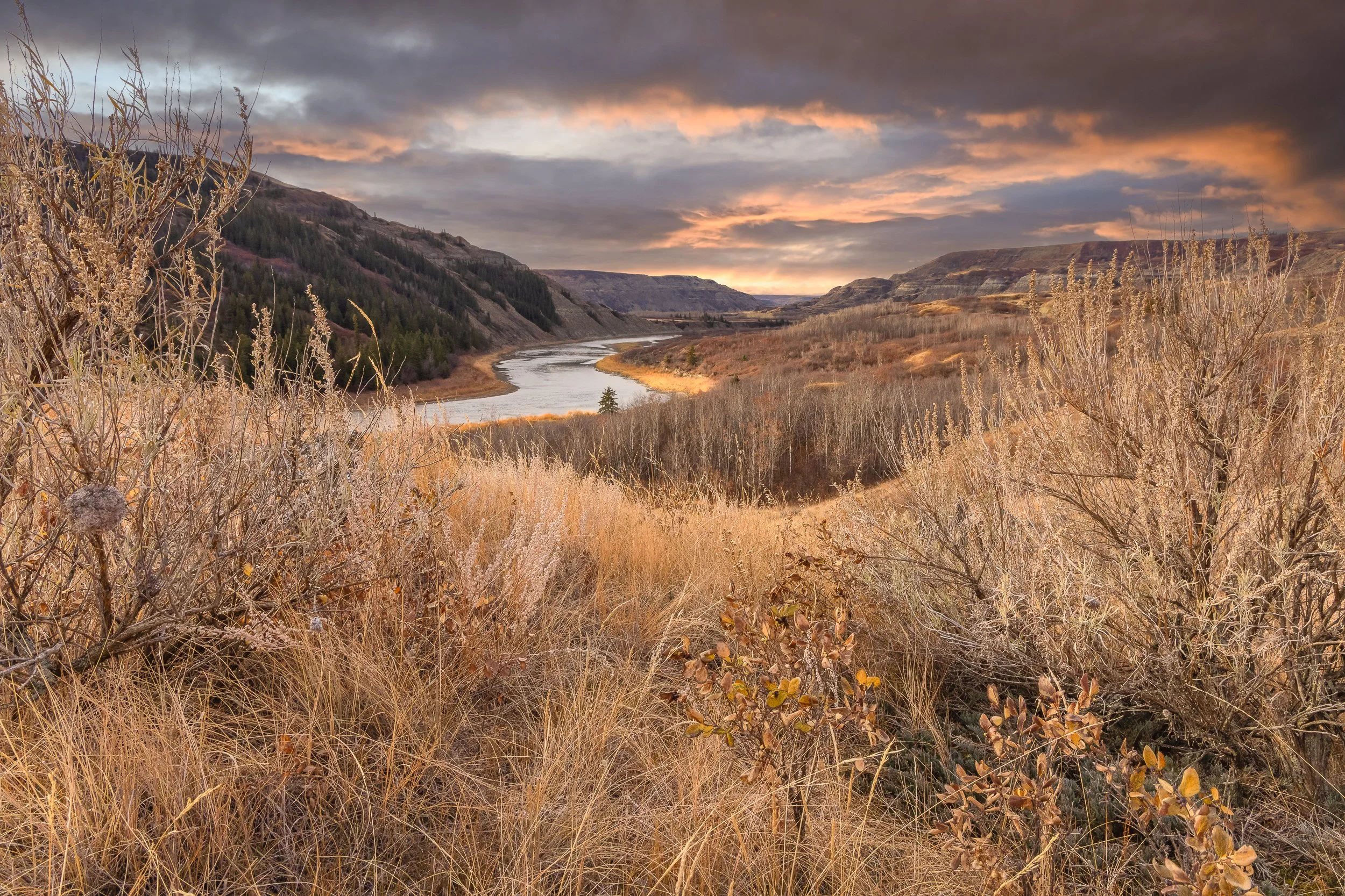 Sagebrush Sunrise - Web.jpg
