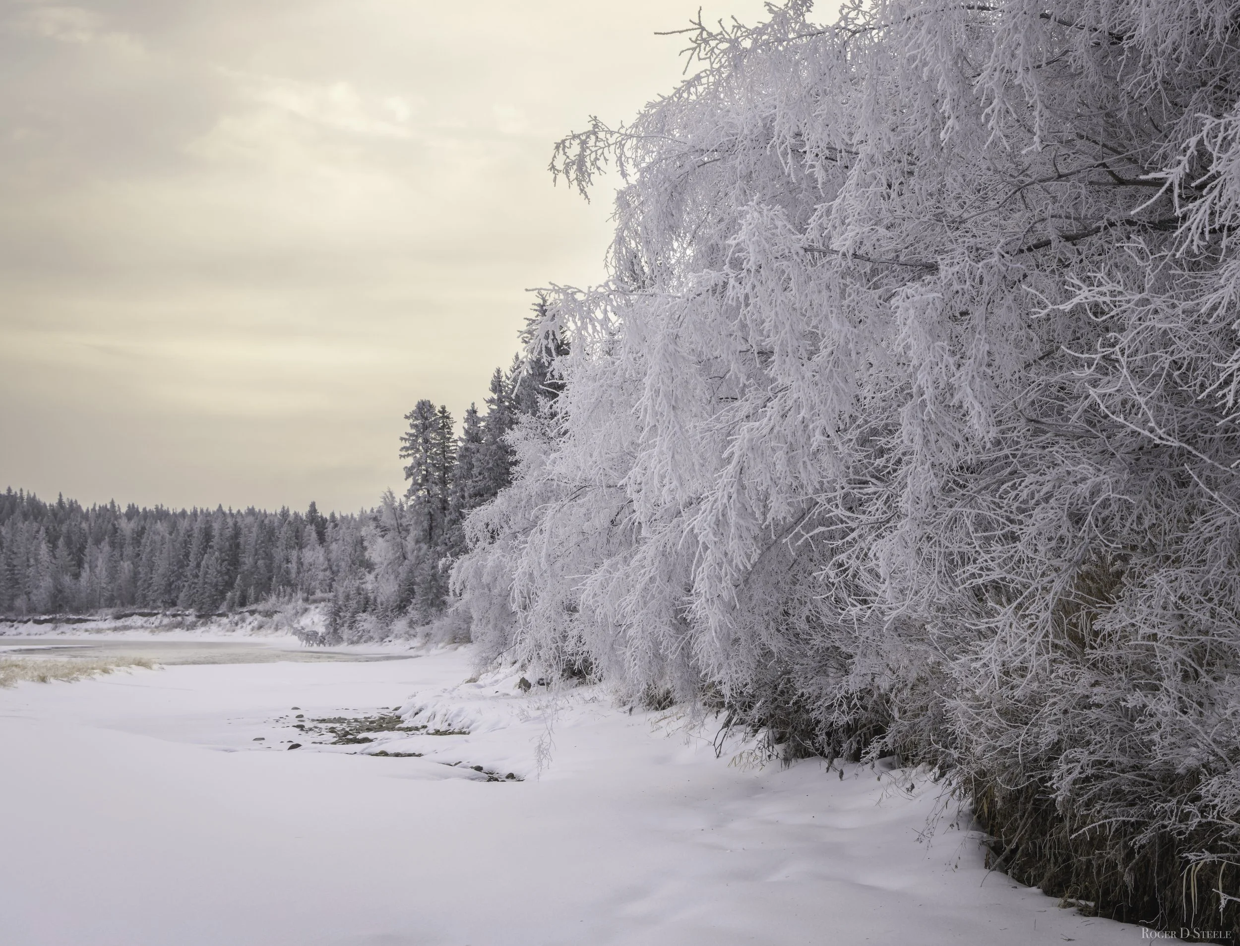 Hoar Frost 1.jpg