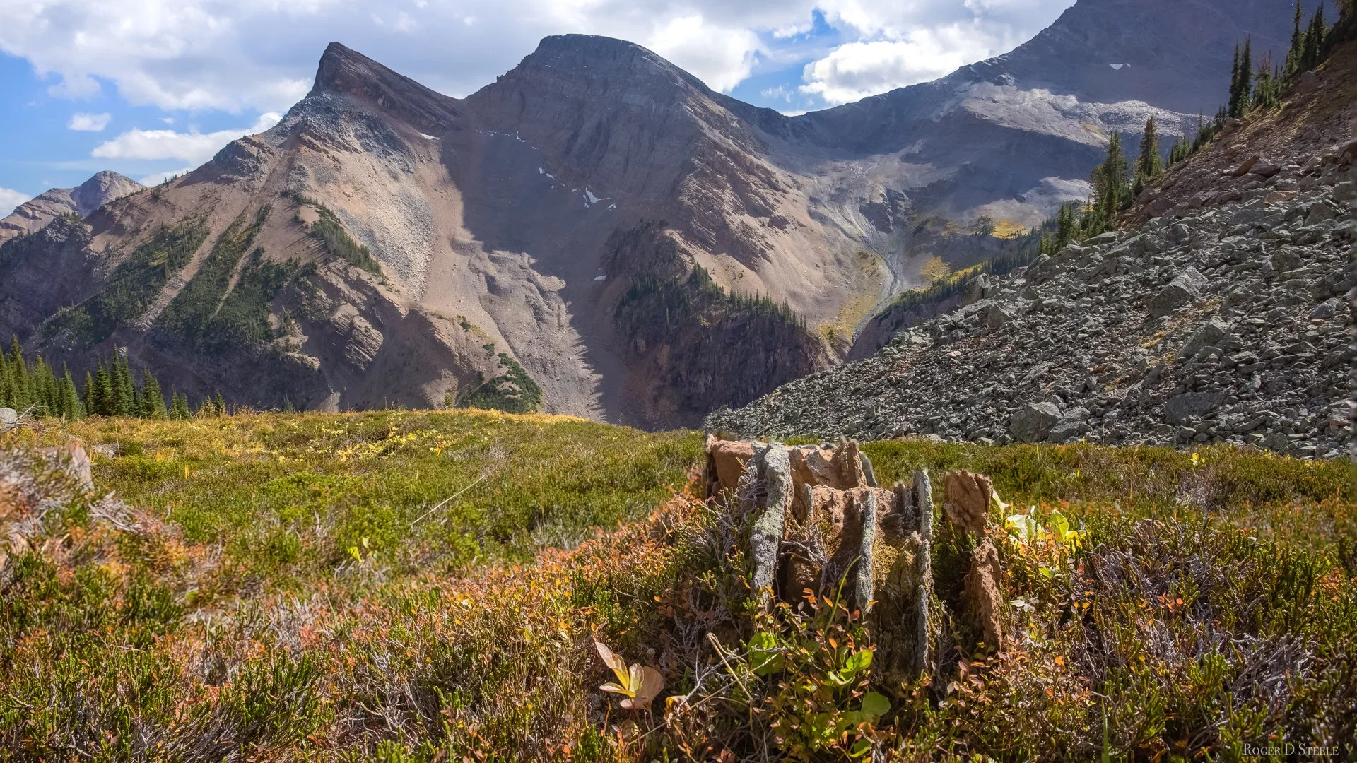 Certainty Mine 12 Mile Creek (1 of 1).jpg
