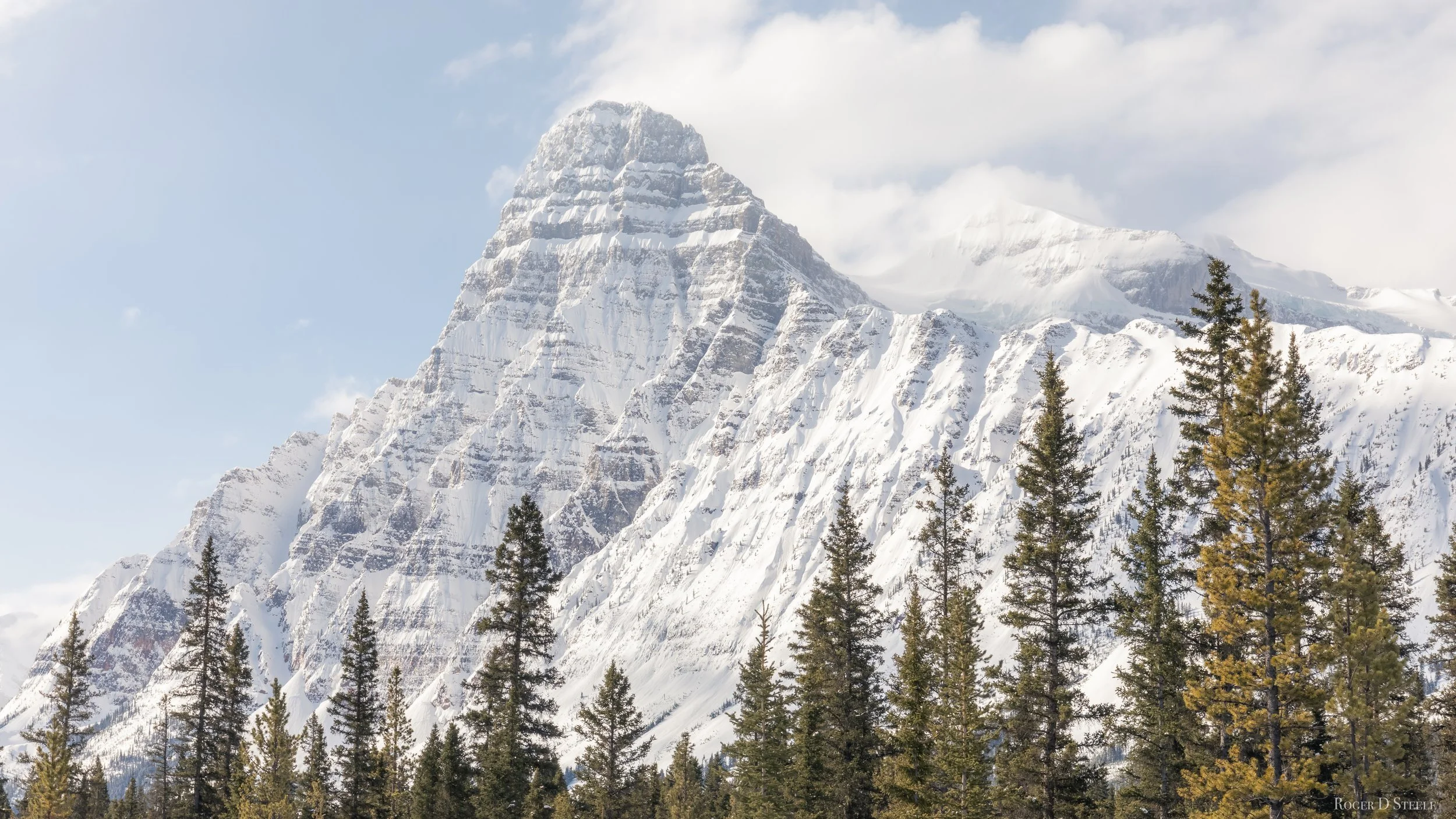 Mt Chephren (1 of 1).jpg