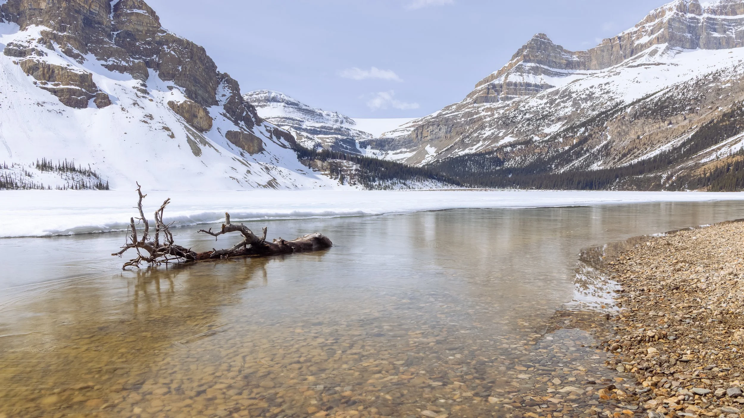 Bow Lake.jpg