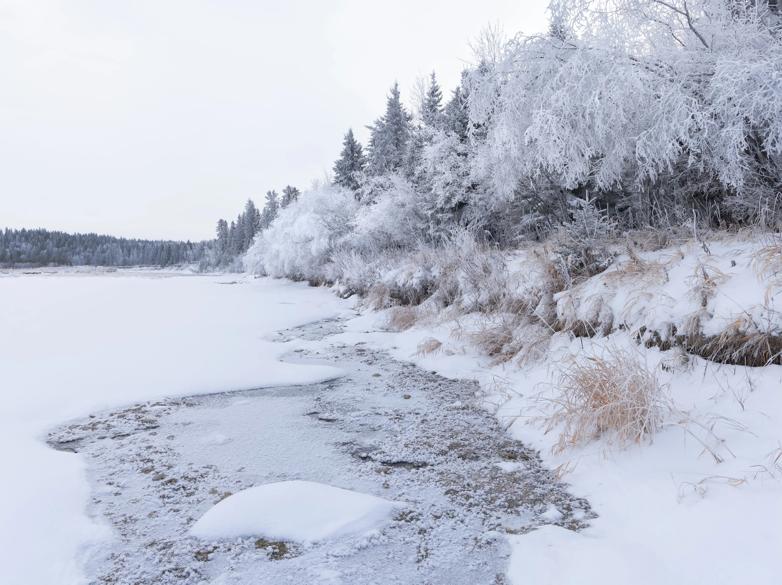 Frozen River.jpg