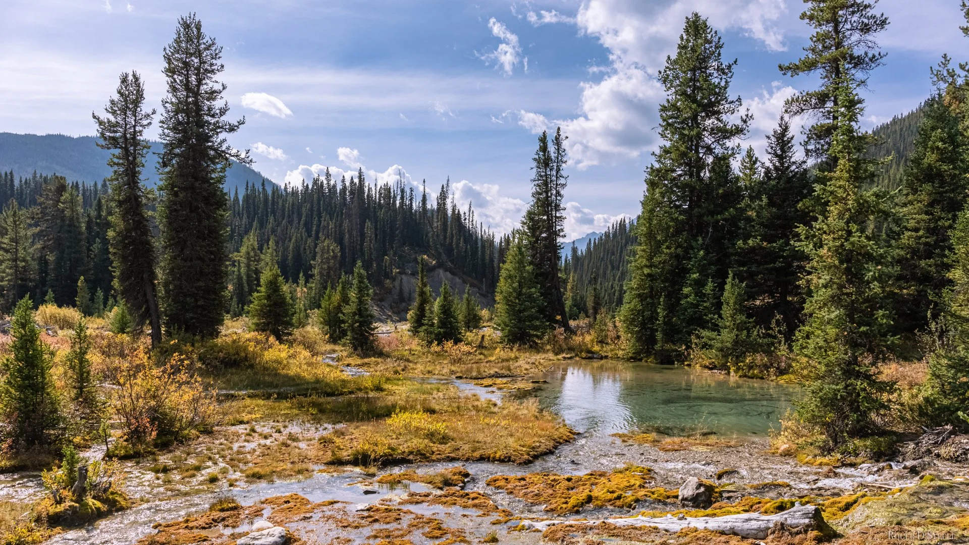 Ink Pots  (1 of 1).jpg