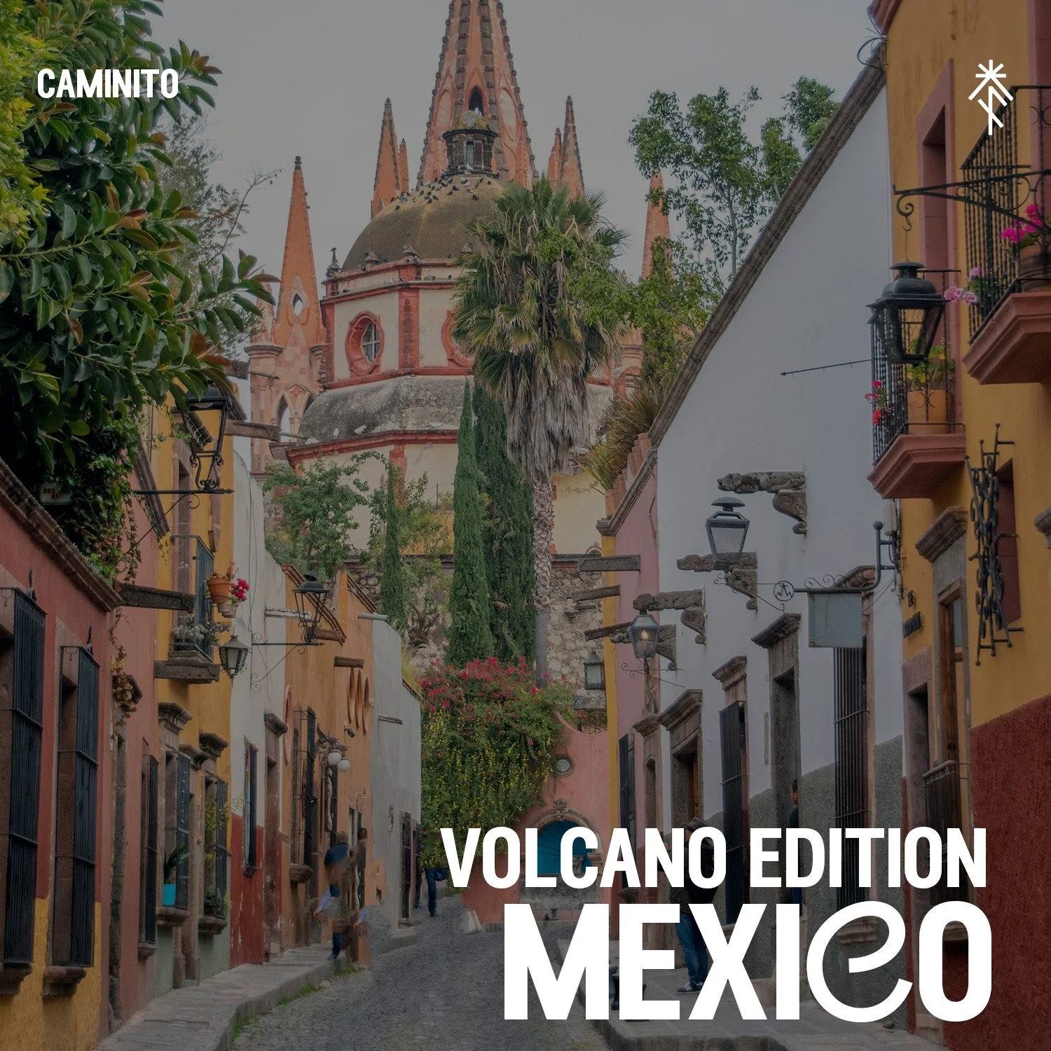 Ciudad de México te está esperando — y nosotros ya lo tenemos todo listo. 🇲🇽