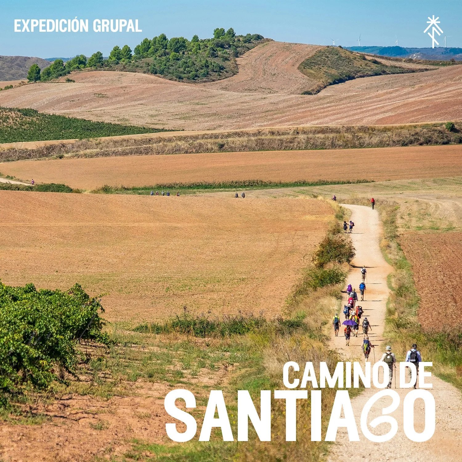 🆕 Camino de Santiago Francés 2027 — La Ruta Clásica