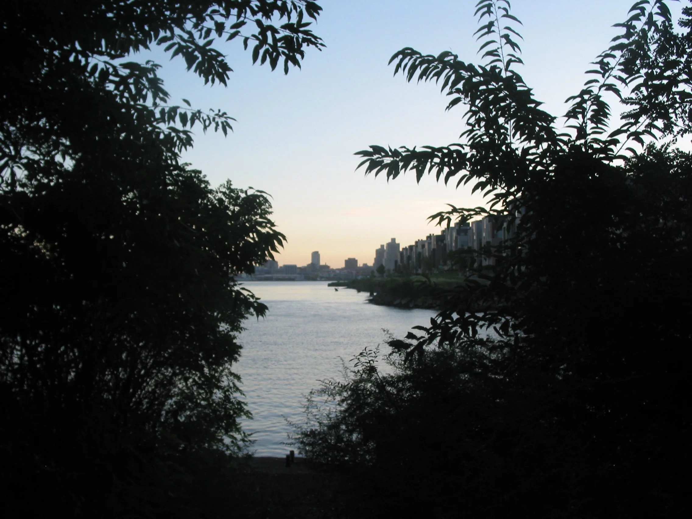 IMG_0390.JPG