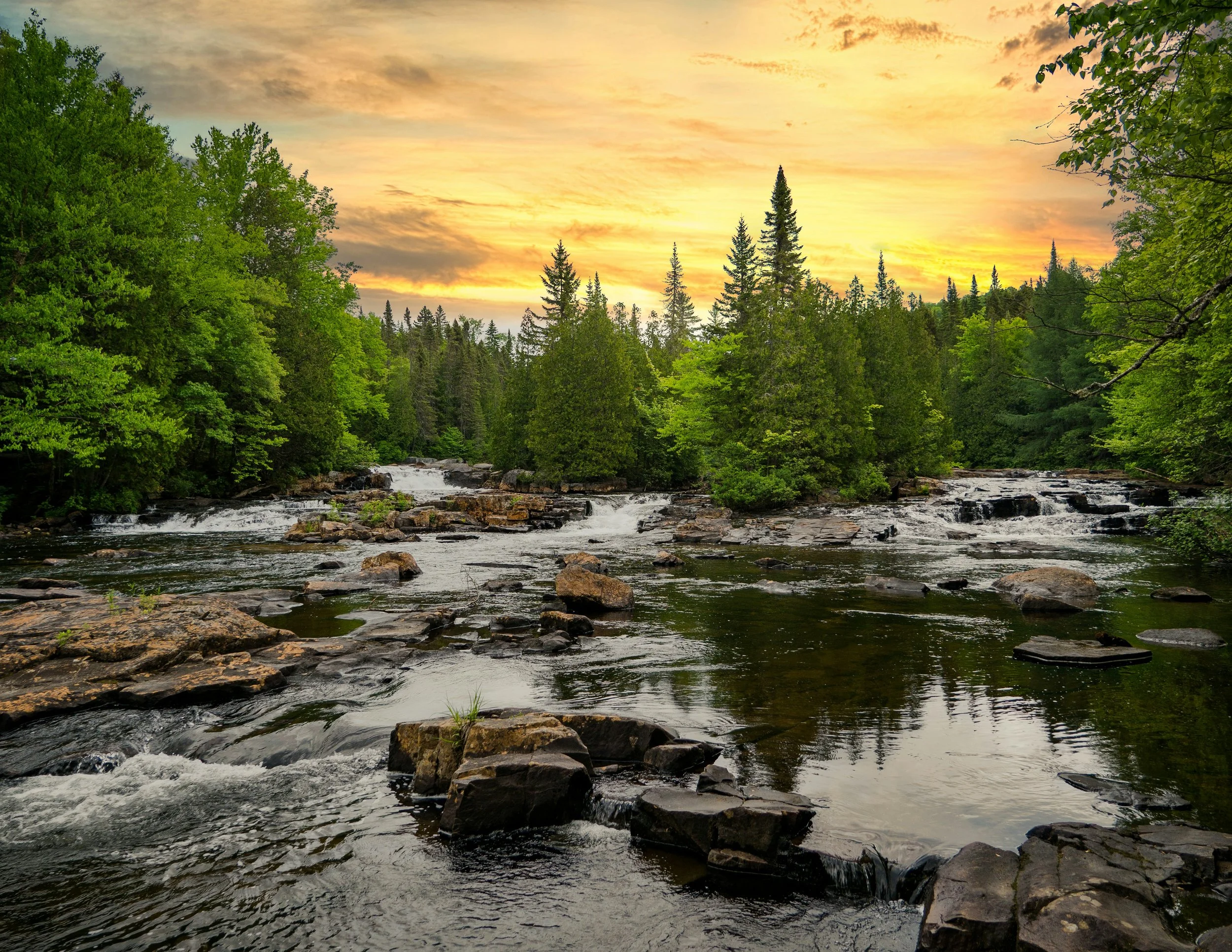 Wilderness stream through forest at sunset.jpg