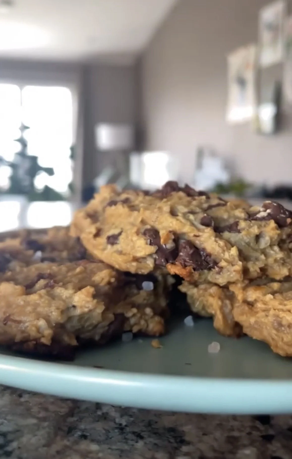 Chickpea Chocolate Chip Cookies