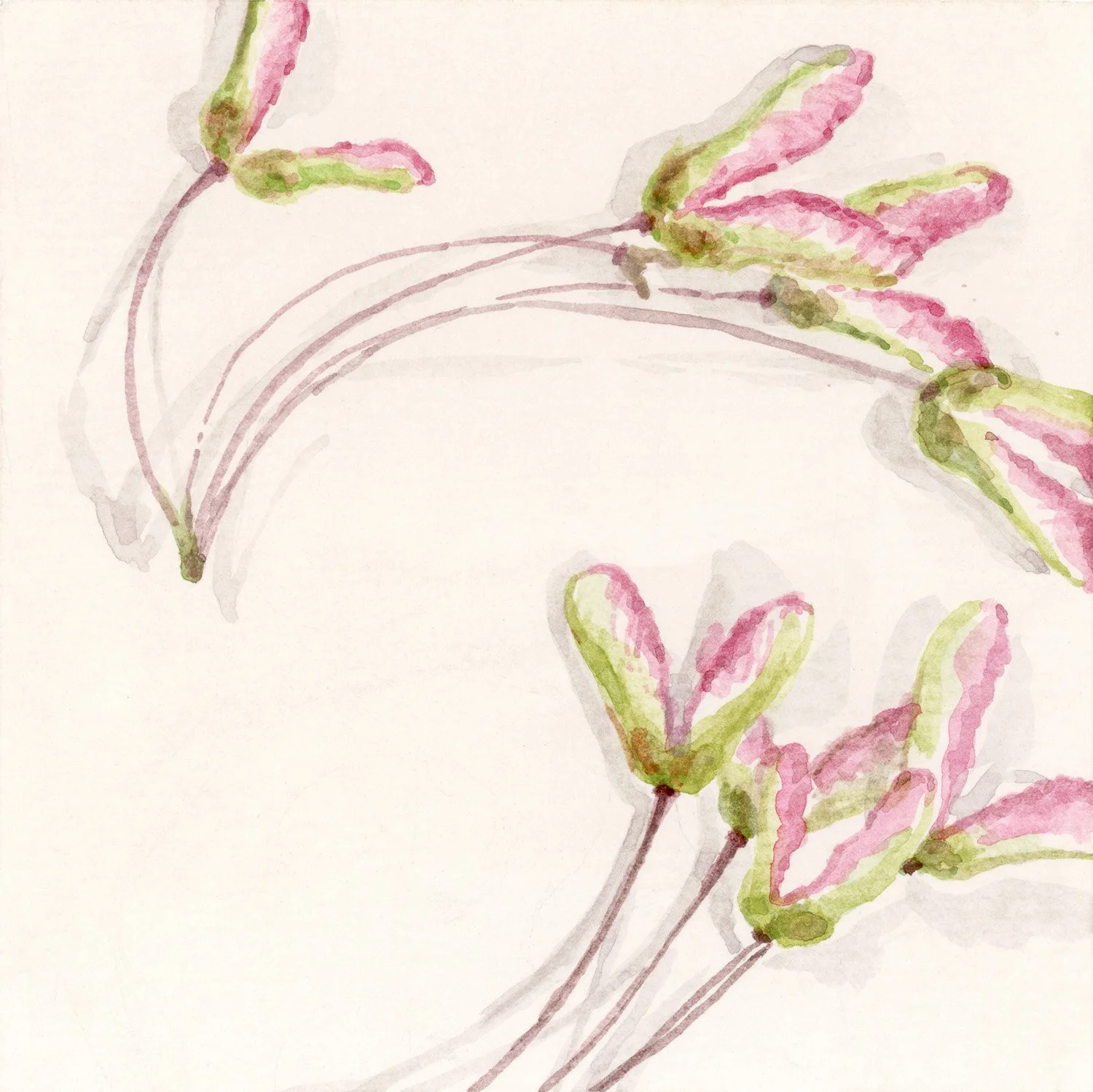 4x4 Red Mapple Flowers - Charmaine Osaerang.jpg