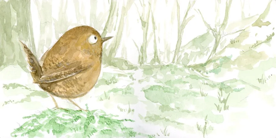 6x3_Watercolor_Wren_150.jpg