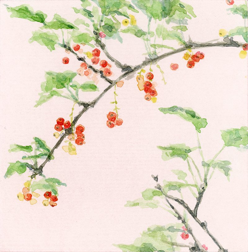 4x4 Red Currants - Charmaine Osaerang.jpg