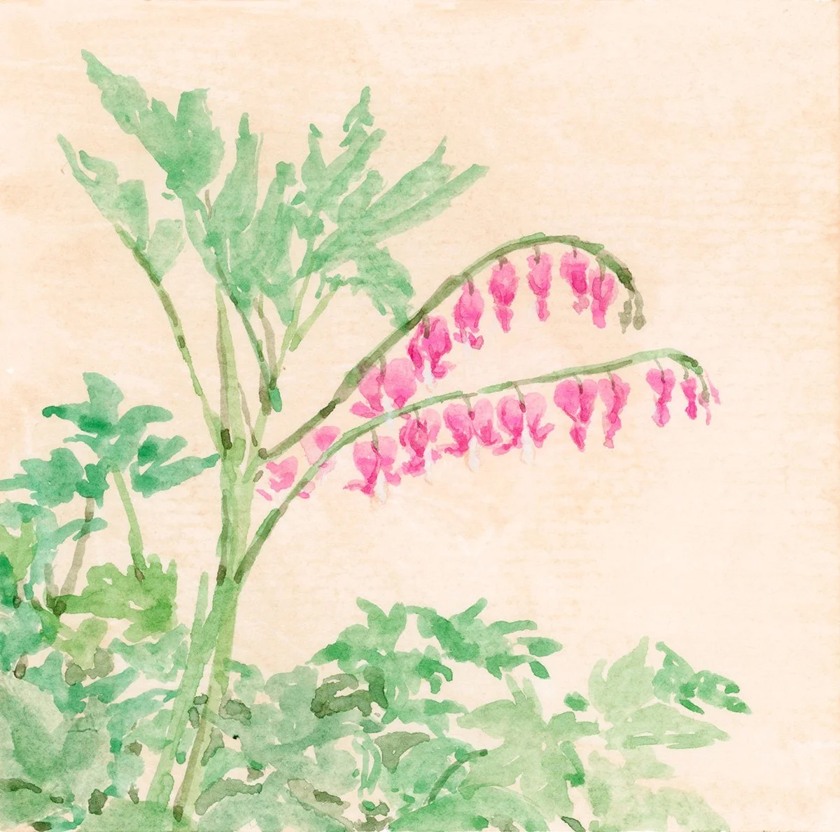 4x4 Bleeding Heart - Charmaine Osaerang.jpg