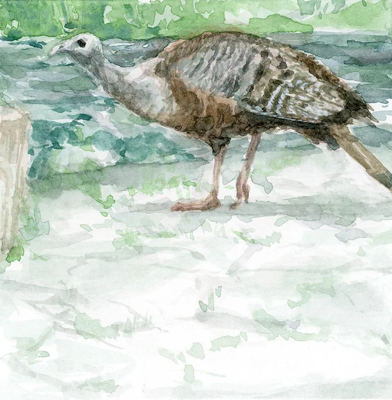 4x4 Turkey - Charmaine Osaerang.jpg